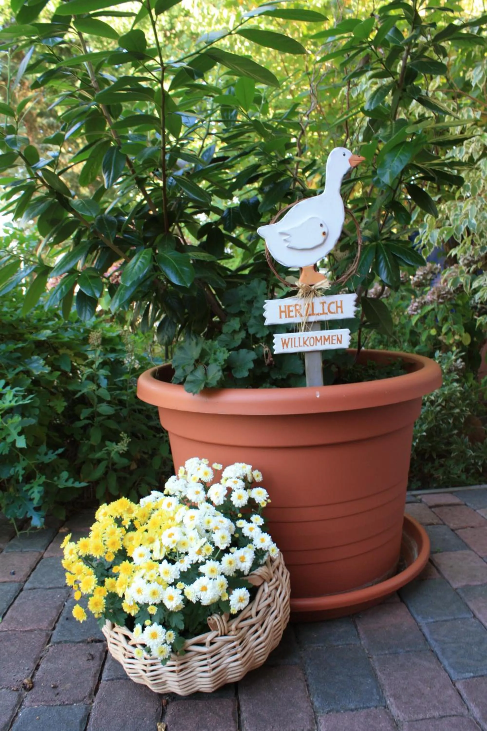 Area and facilities in Hotel Scholz