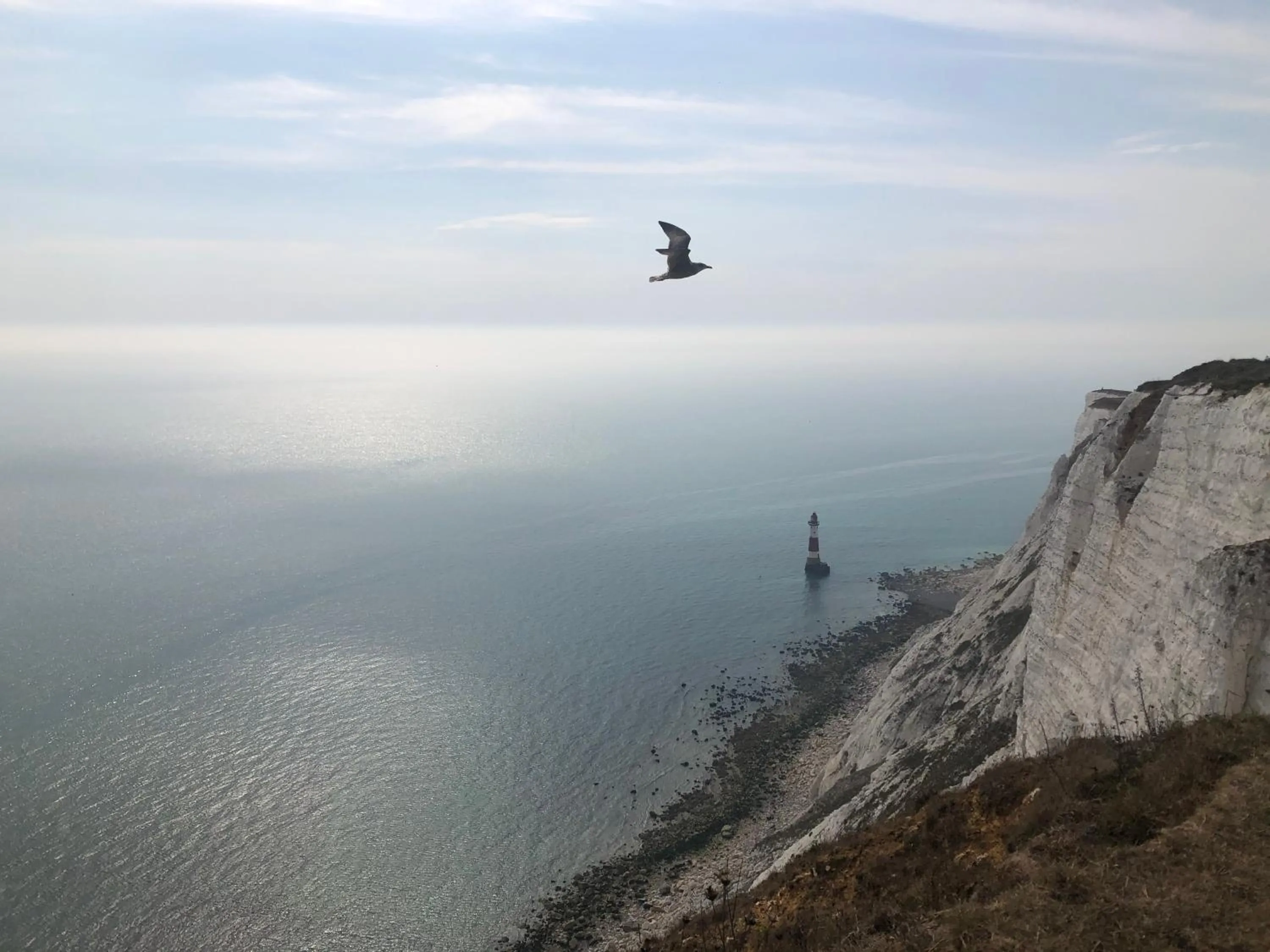 Nearby landmark in Eastbourne Riviera Hotel