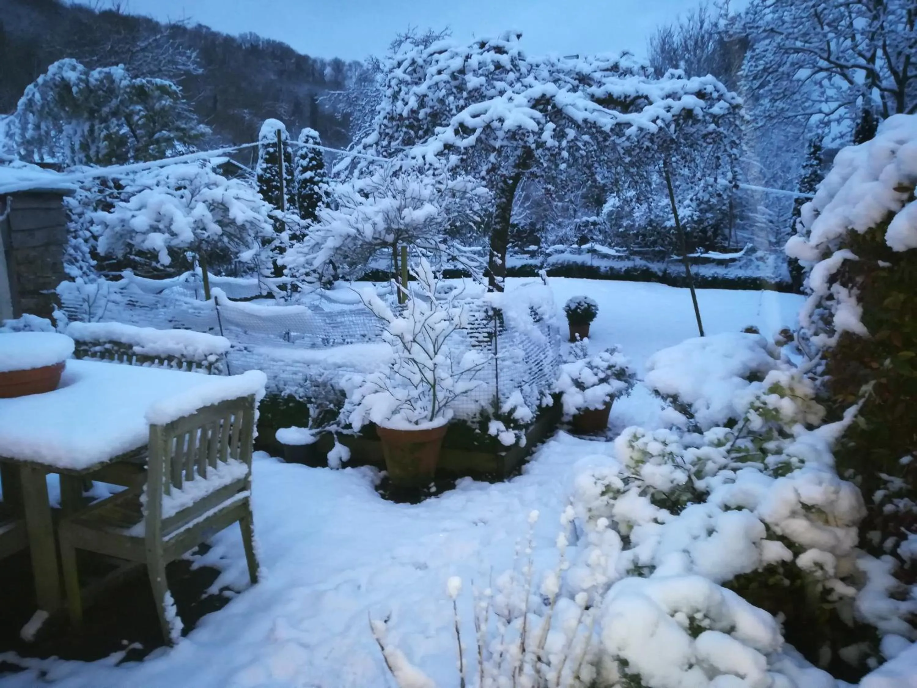 Natural landscape in Heron House