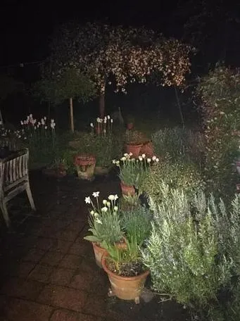 Night in Heron House