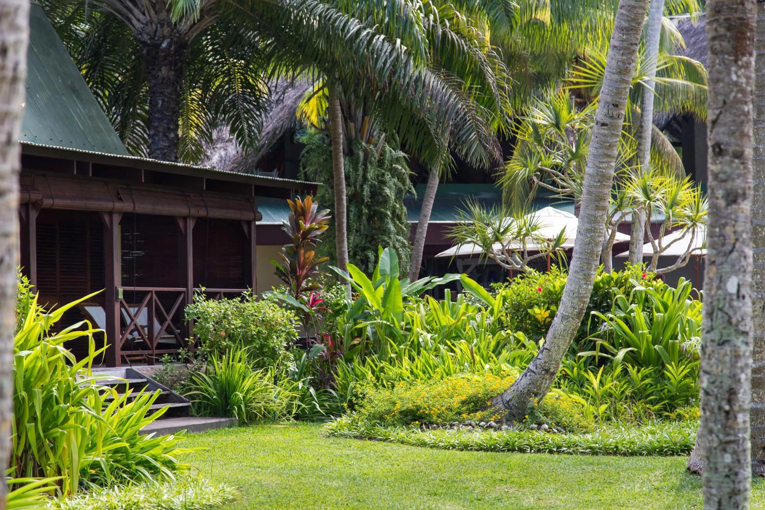 Garden in Paradise Sun Hotel Seychelles