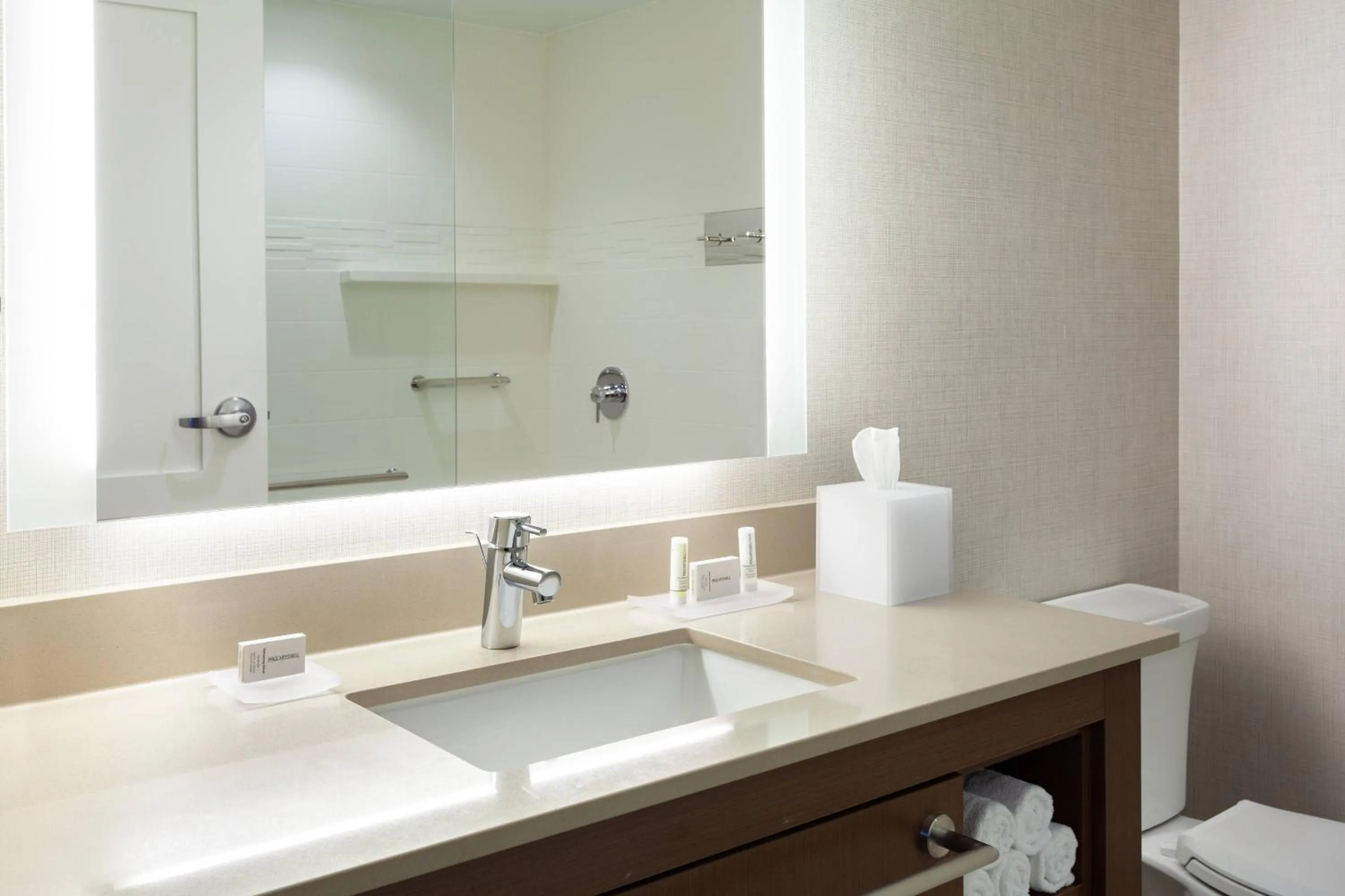Bathroom in Residence Inn by Marriott Orlando at Millenia