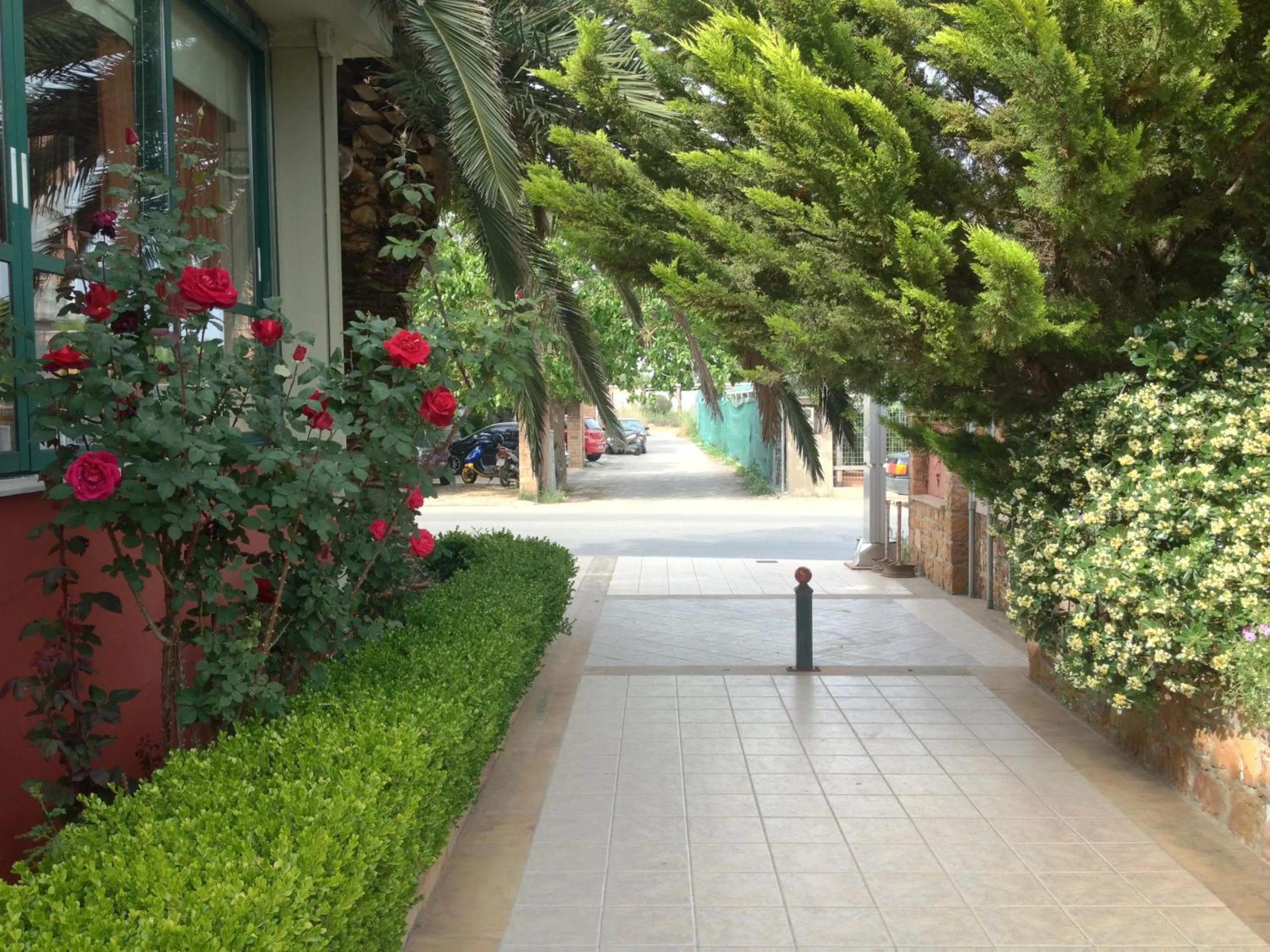 Garden in Morning Star