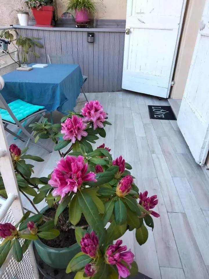 Inner courtyard view in Les Chambres Hautes d'Anastasia