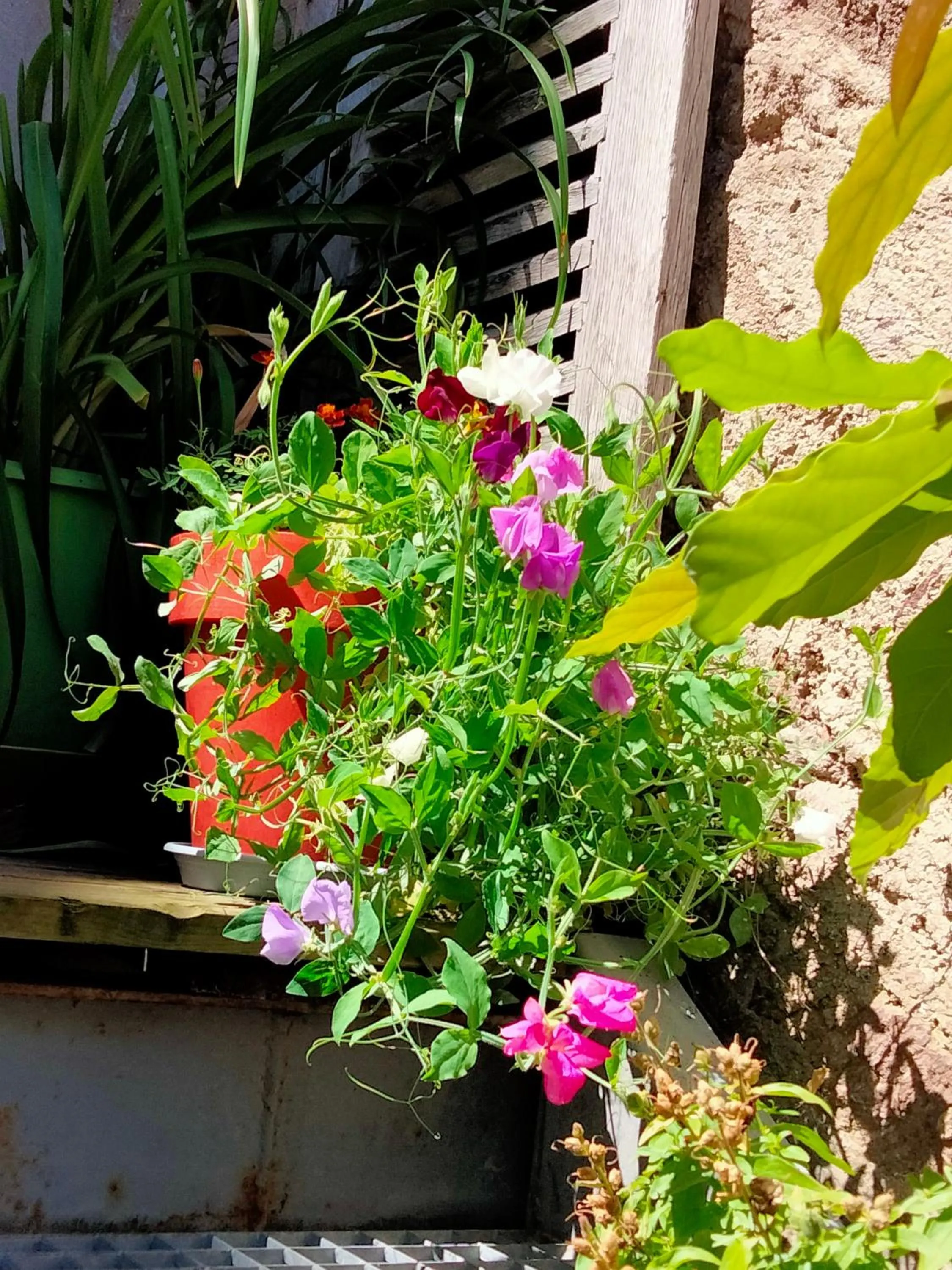 Facade/entrance in Les Chambres Hautes d'Anastasia