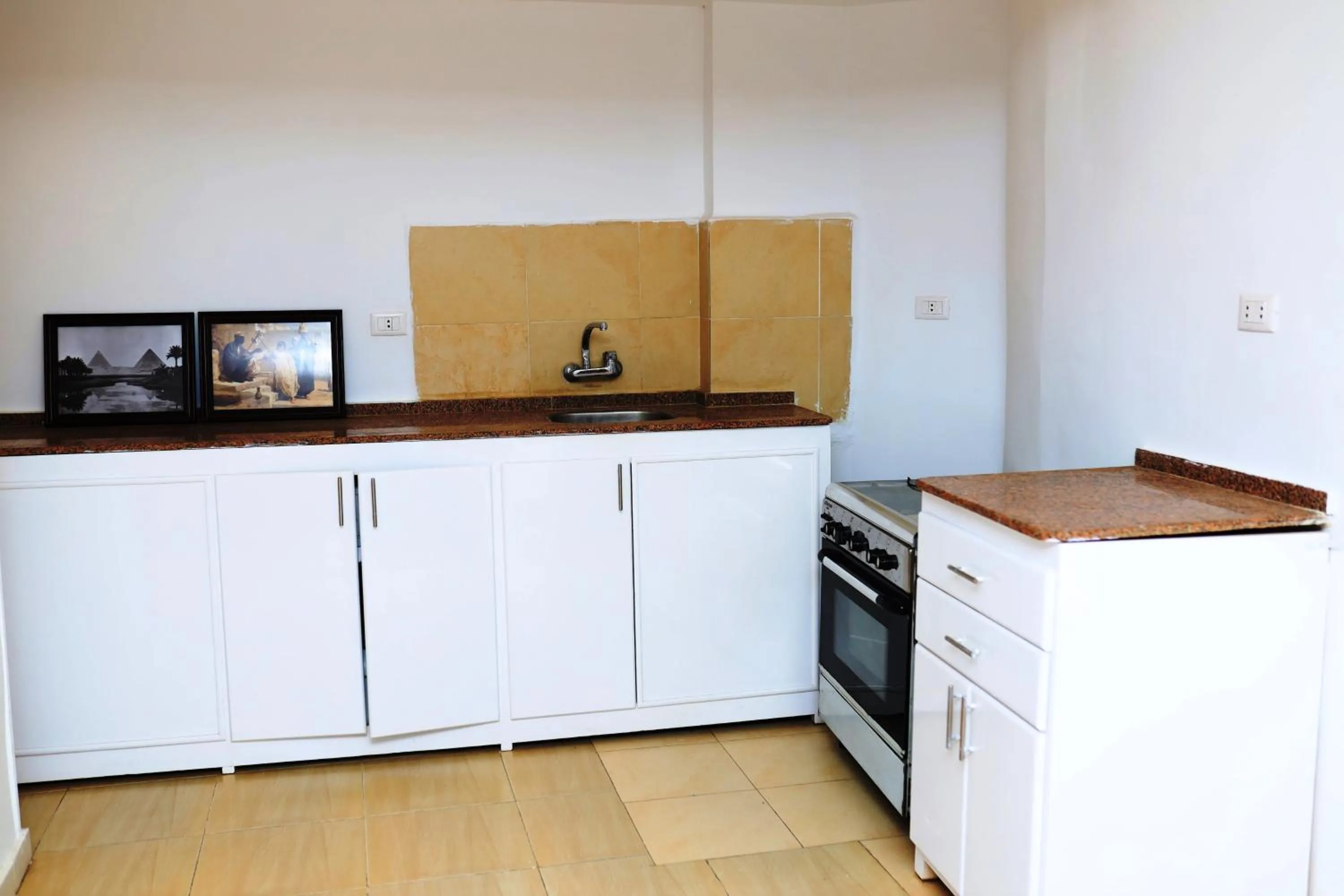 Kitchen or kitchenette in Spring Hotel Luxor