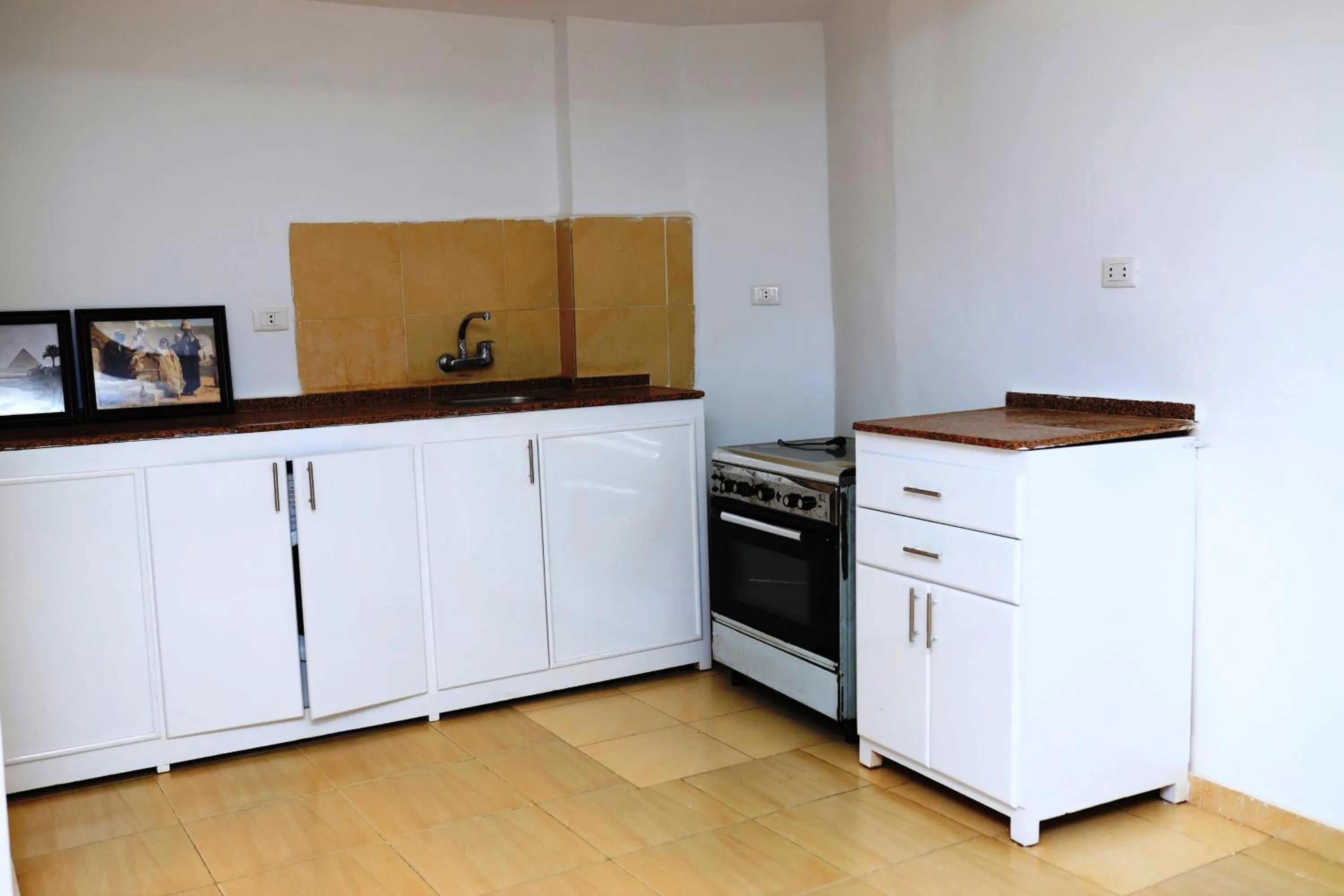 Kitchen or kitchenette in Spring Hotel Luxor