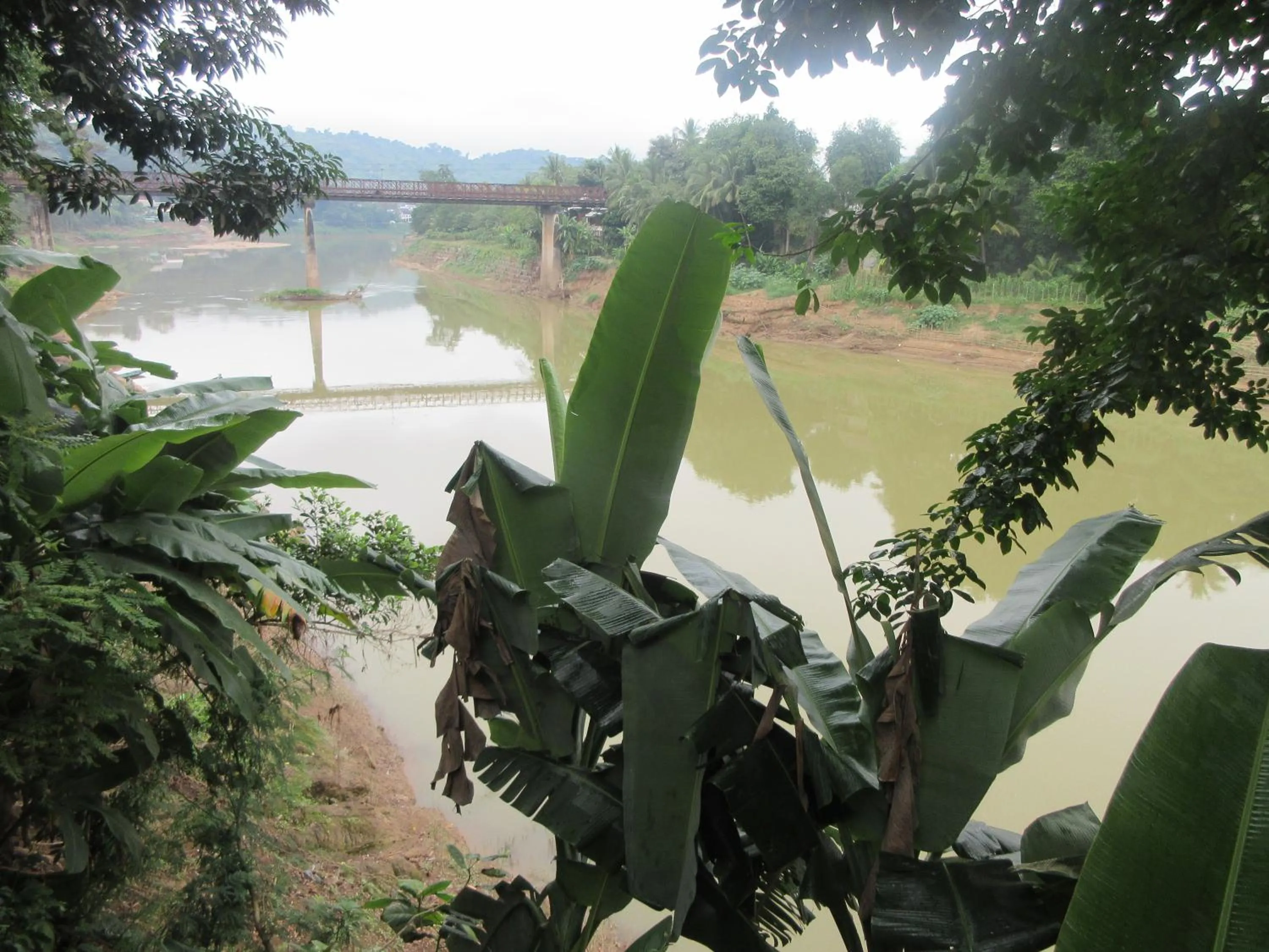 Moonlight Champa Riverview