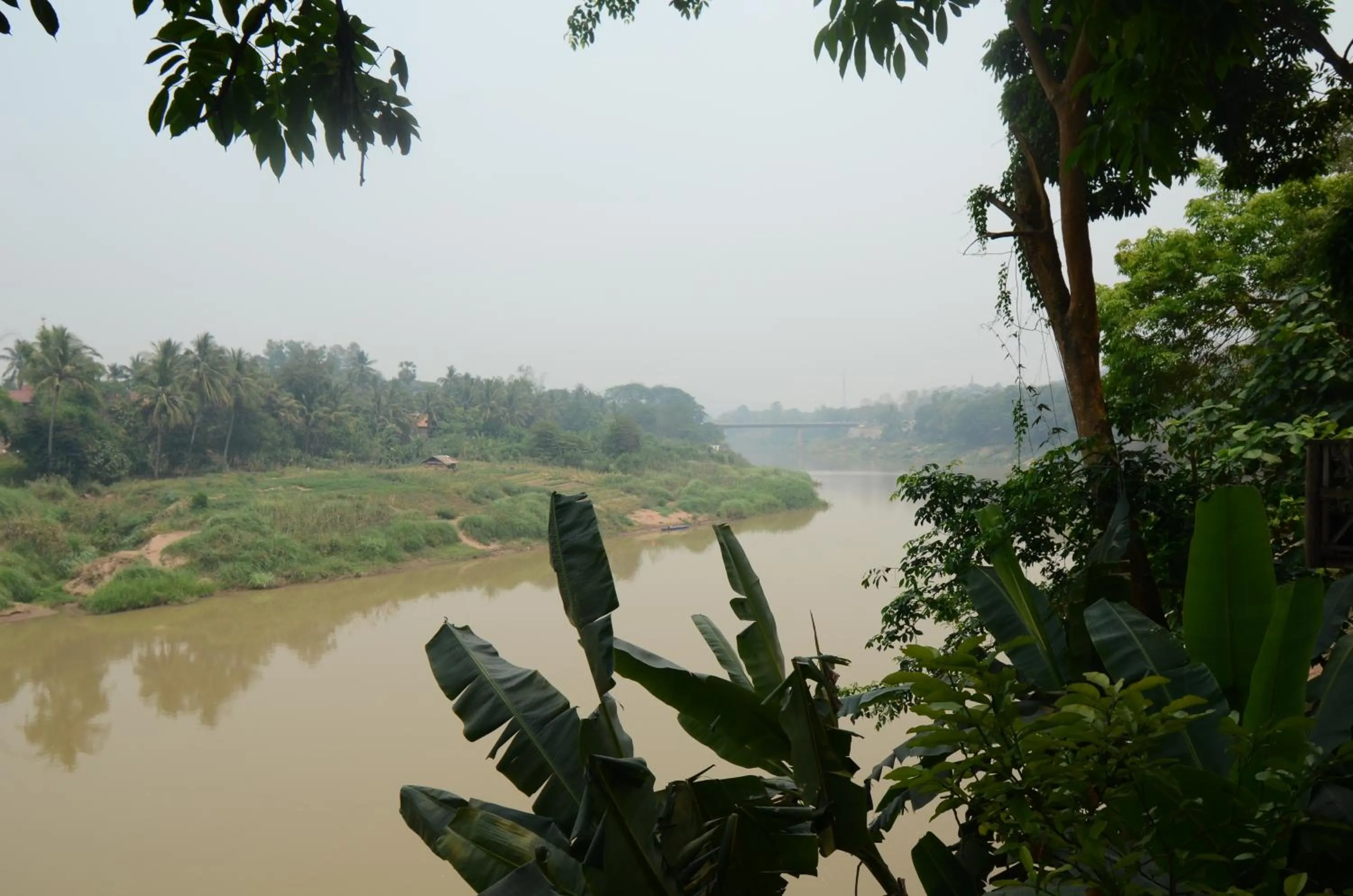 Moonlight Champa Riverview