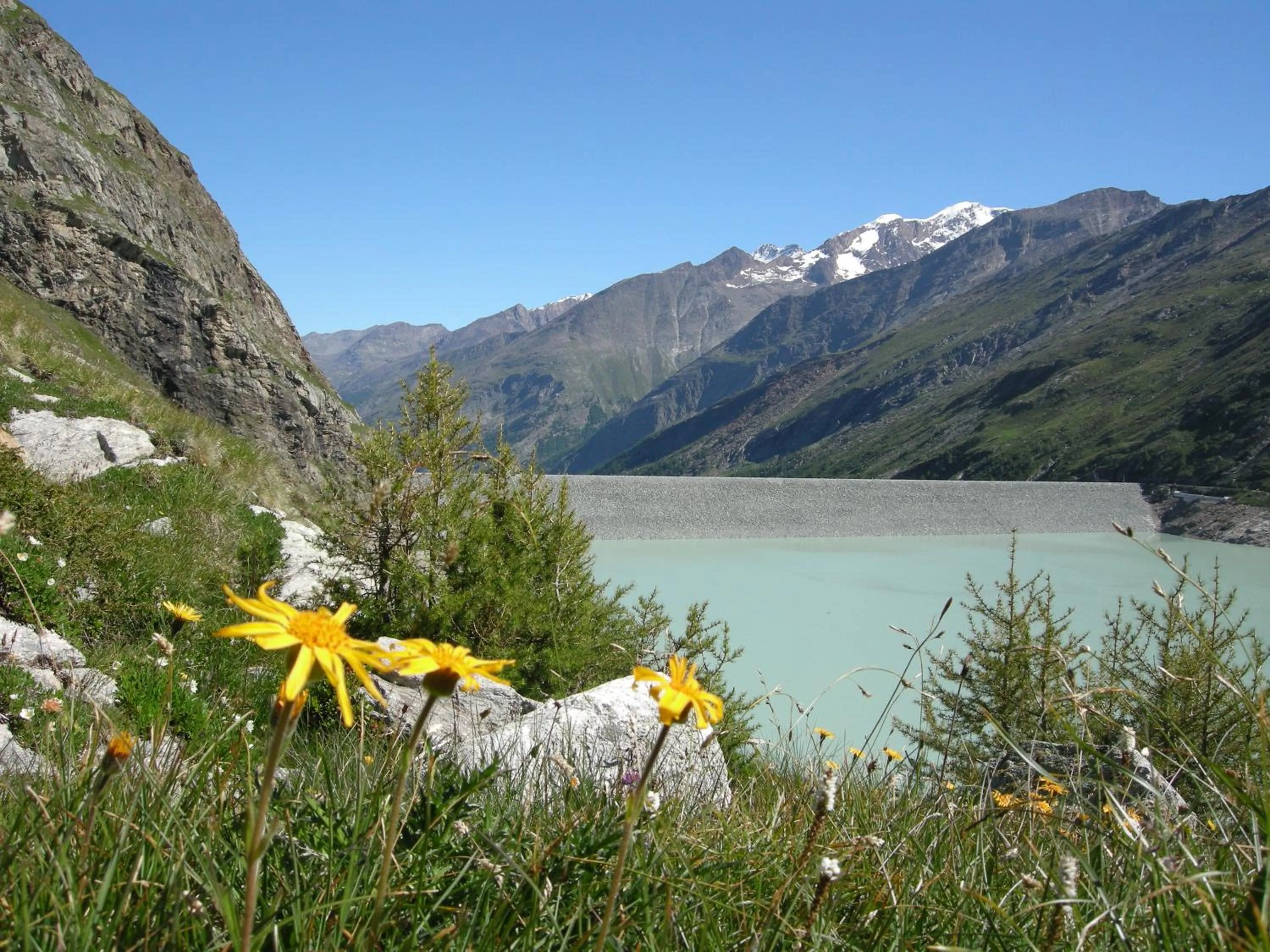 Natural landscape in Hotel Portjengrat