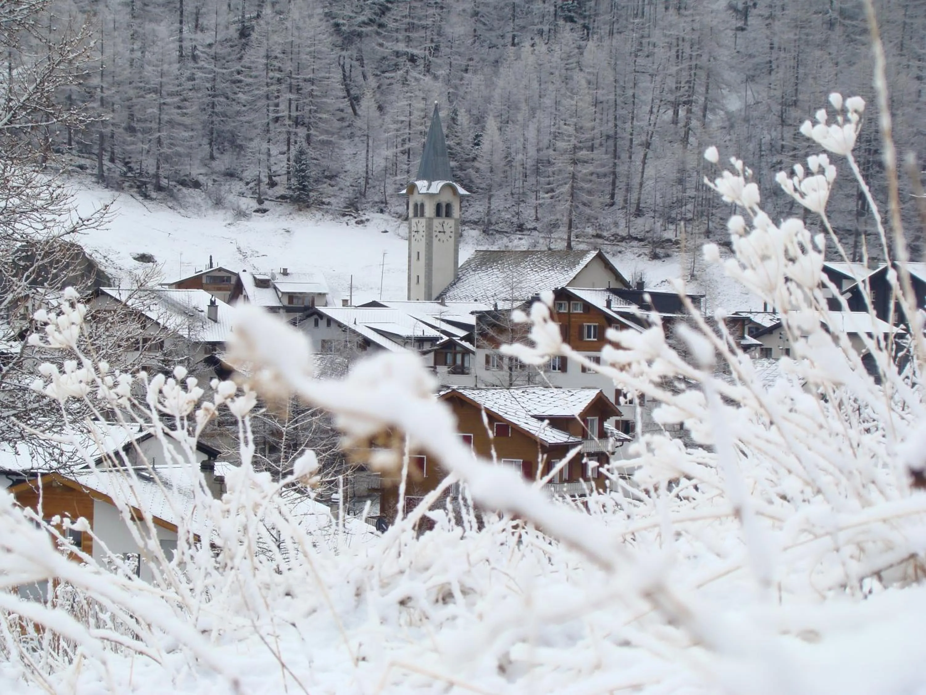 Neighbourhood in Hotel Portjengrat