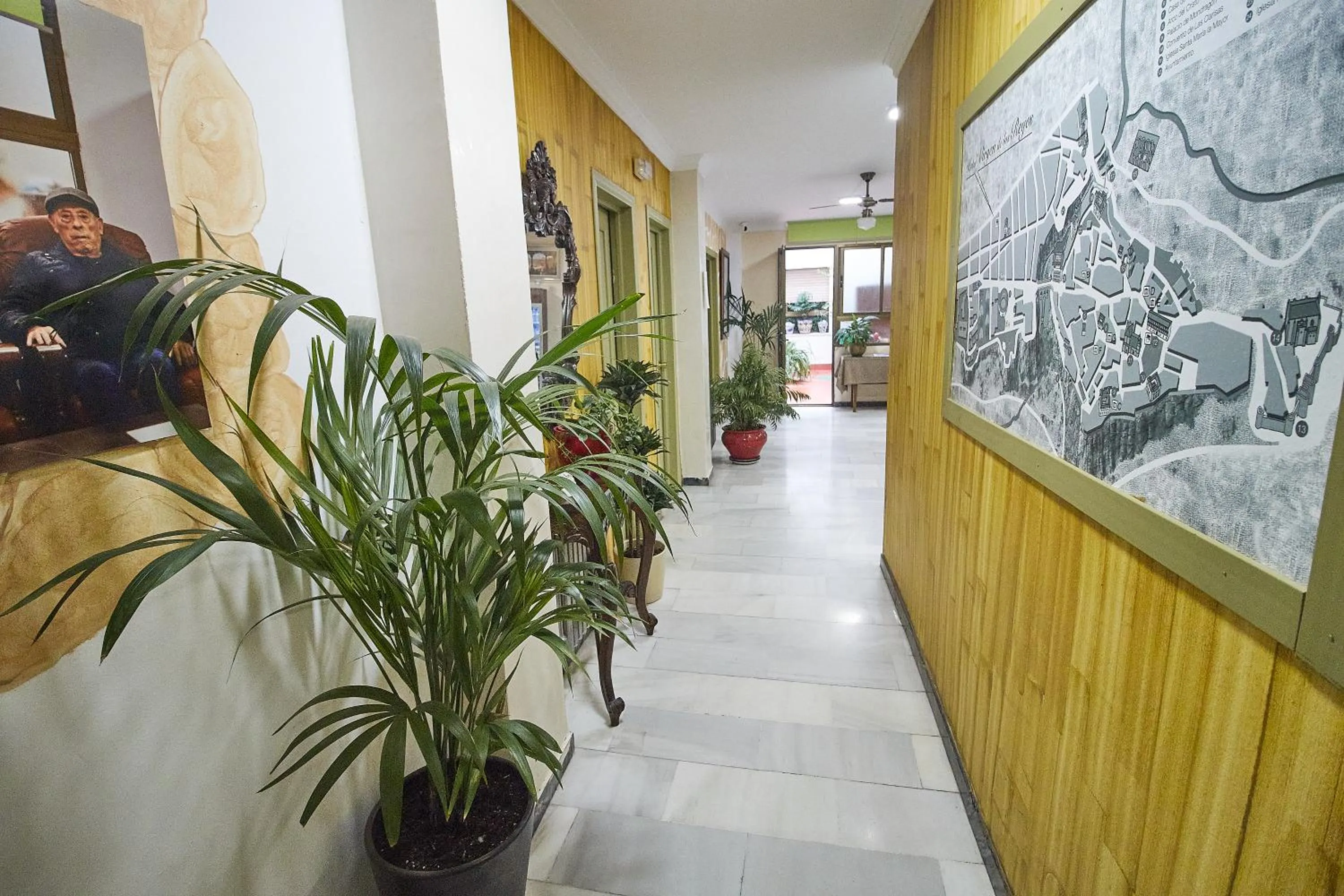 Area and facilities in Hotel Virgen de los Reyes