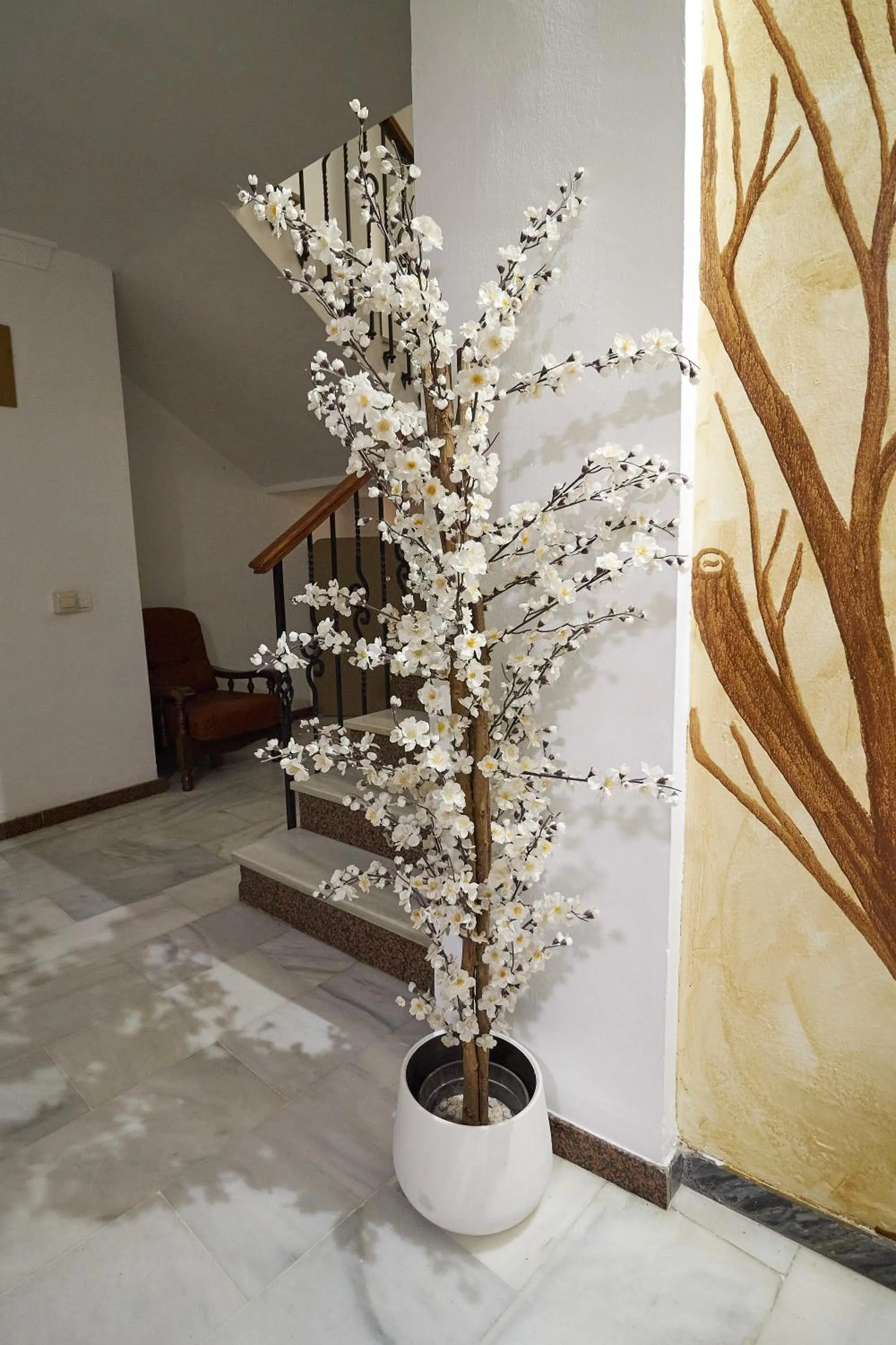 Area and facilities in Hotel Virgen de los Reyes