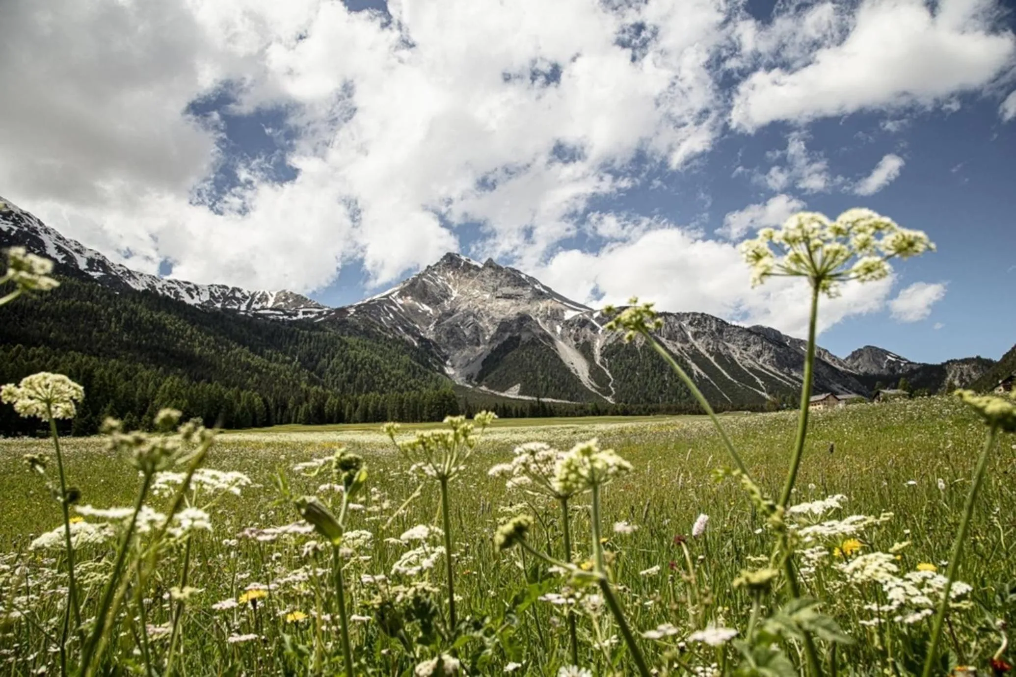 Spring in Hotel Central La Fainera Superior