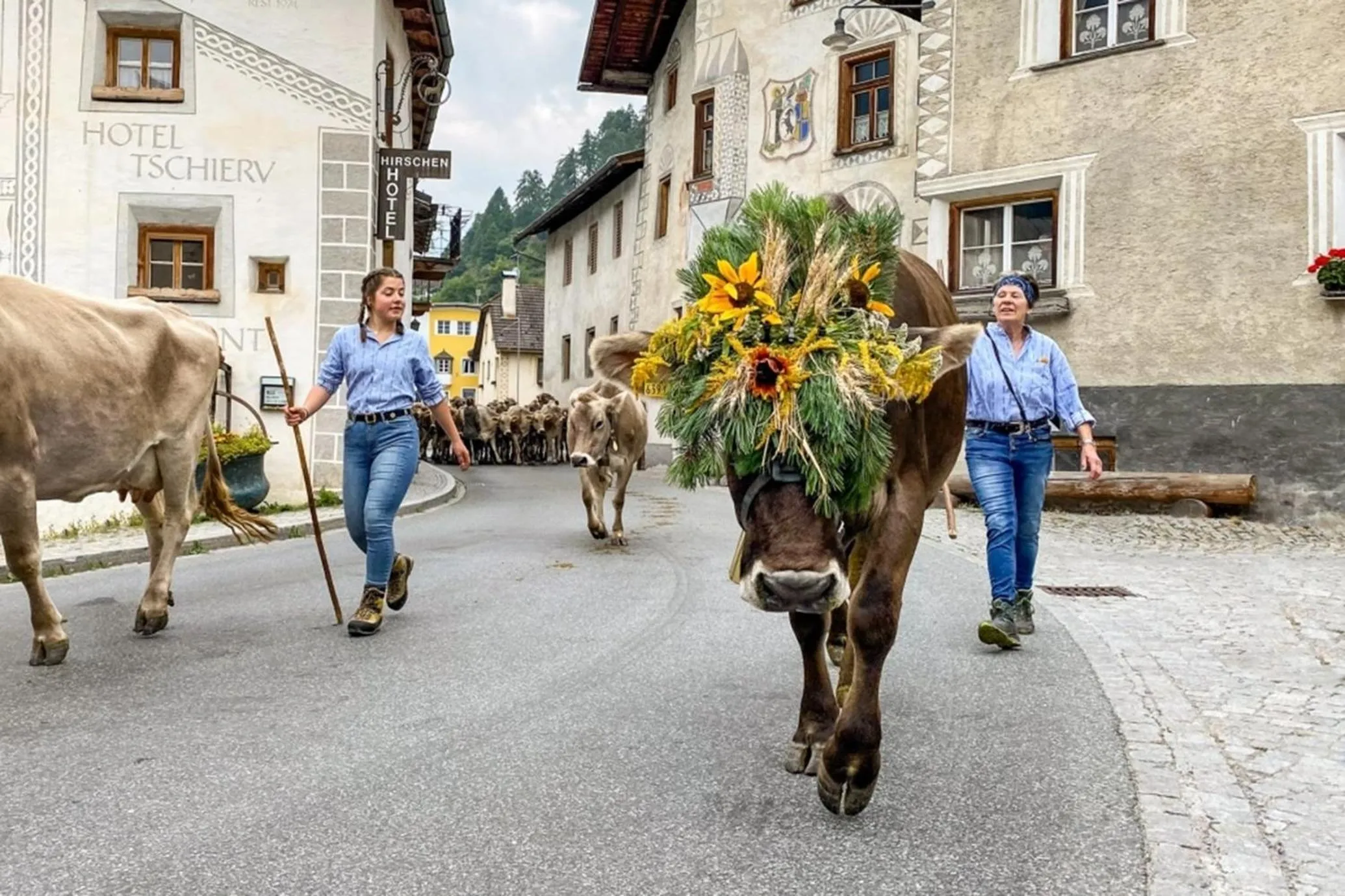 Animals in Hotel Central La Fainera Superior