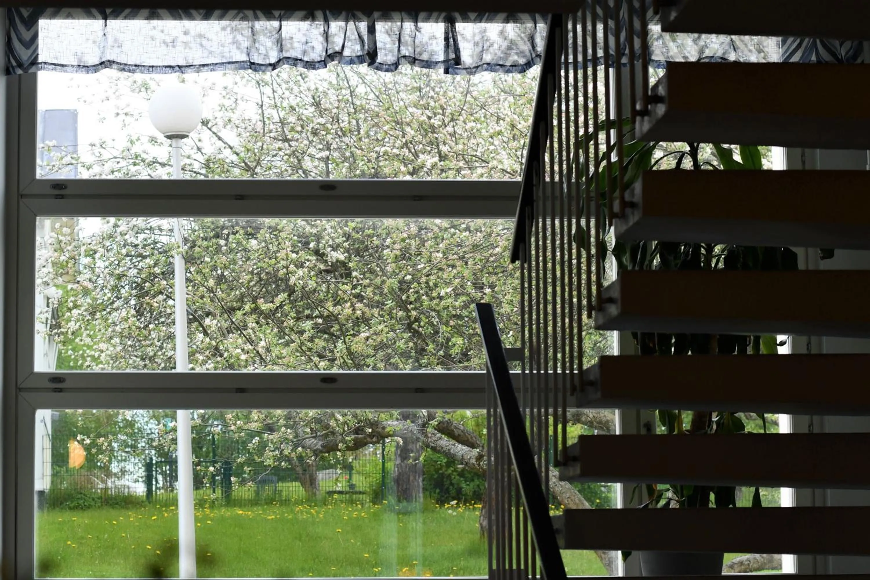 Garden view in Budget Hotel Easystay