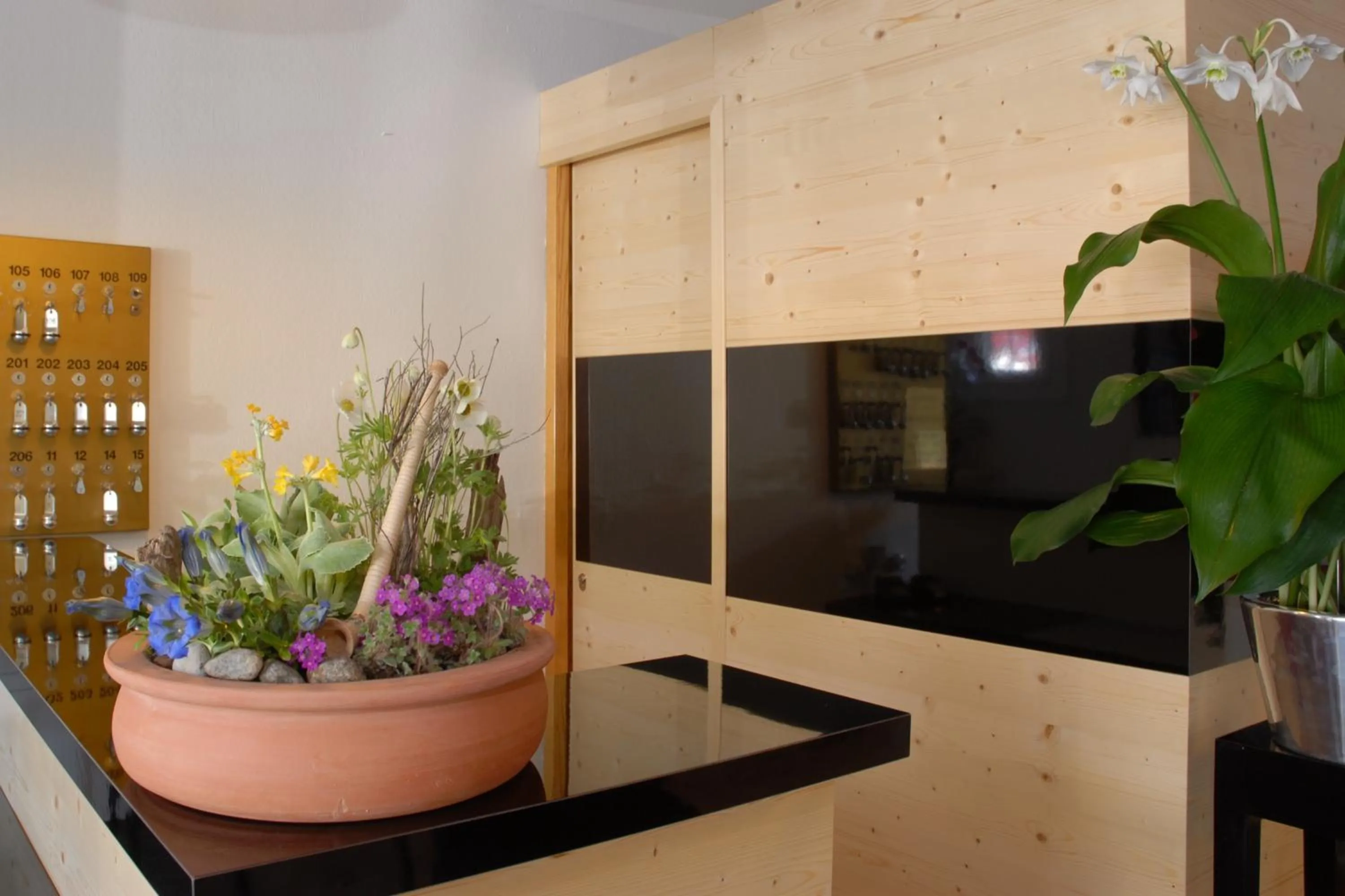 Lobby or reception in Hotel Alphorn