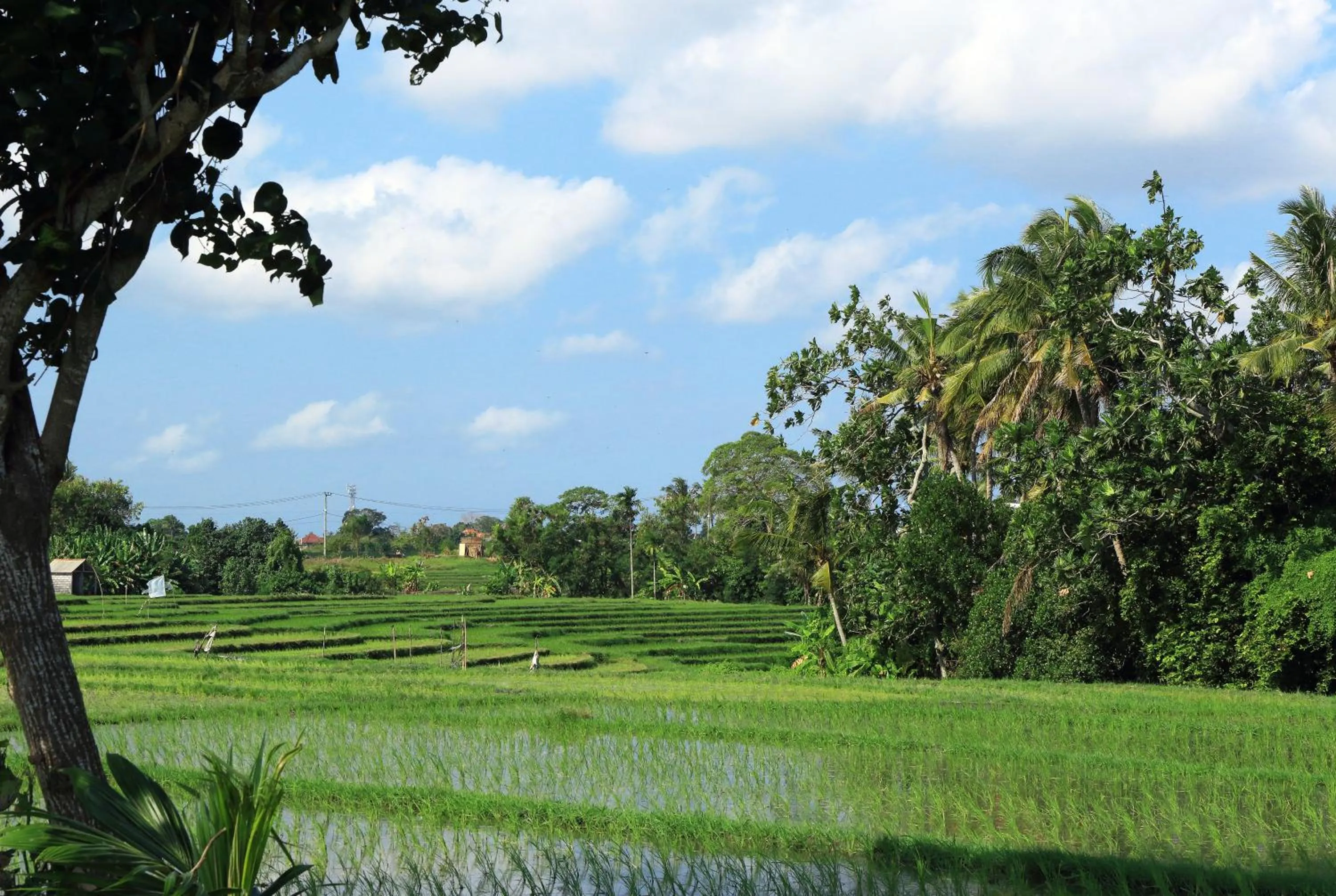 Natural landscape in Tamu Seseh