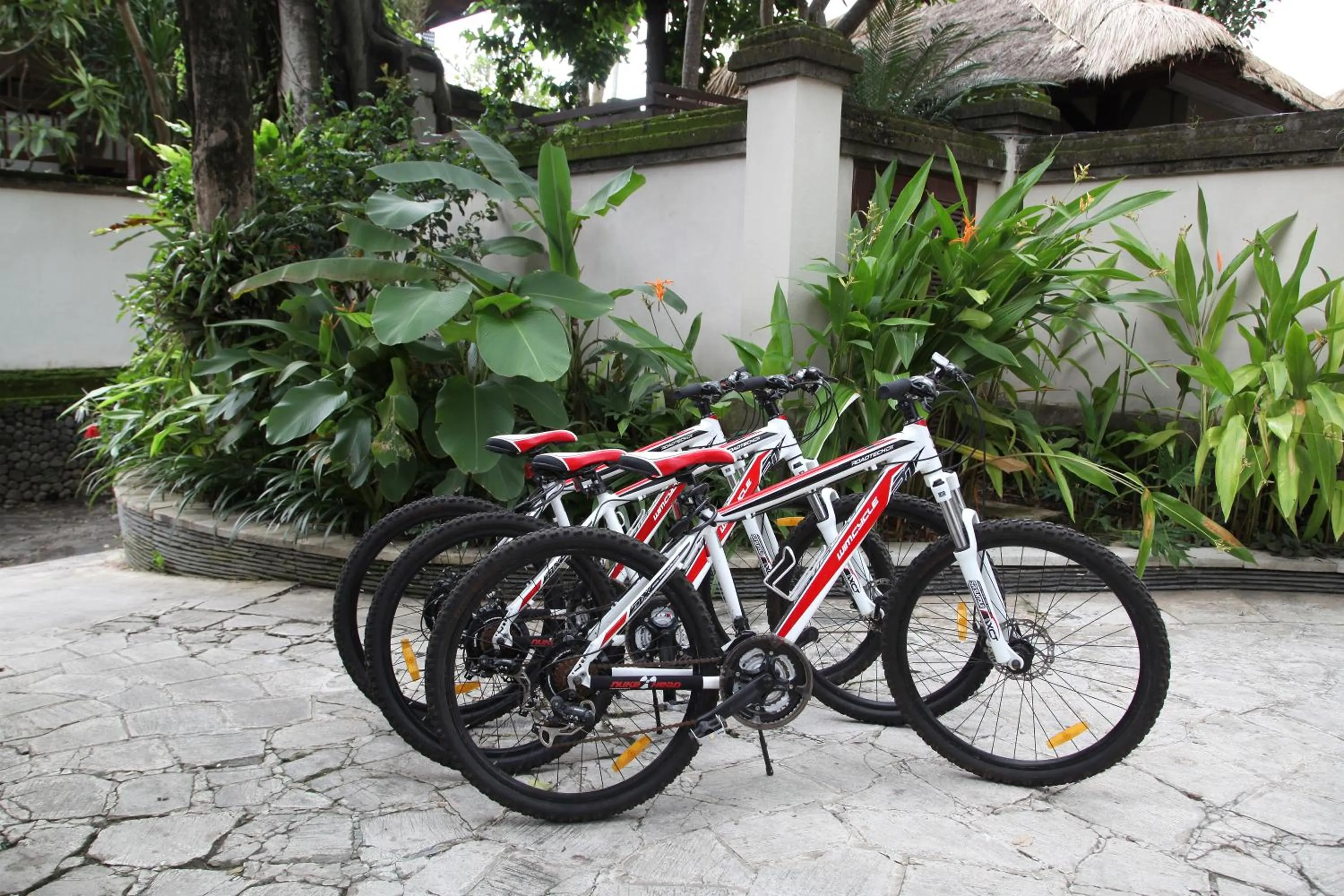 Cycling in Tamu Seseh