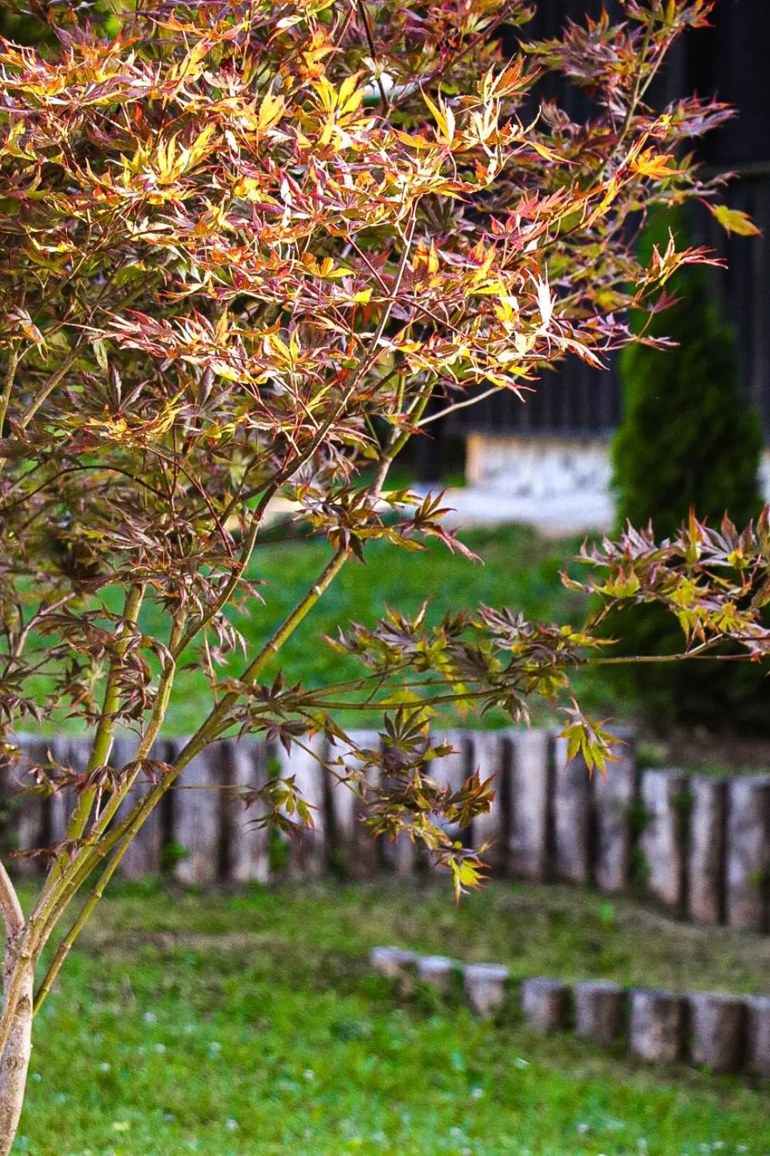 Garden in Plitvice Luxury Etno Garden