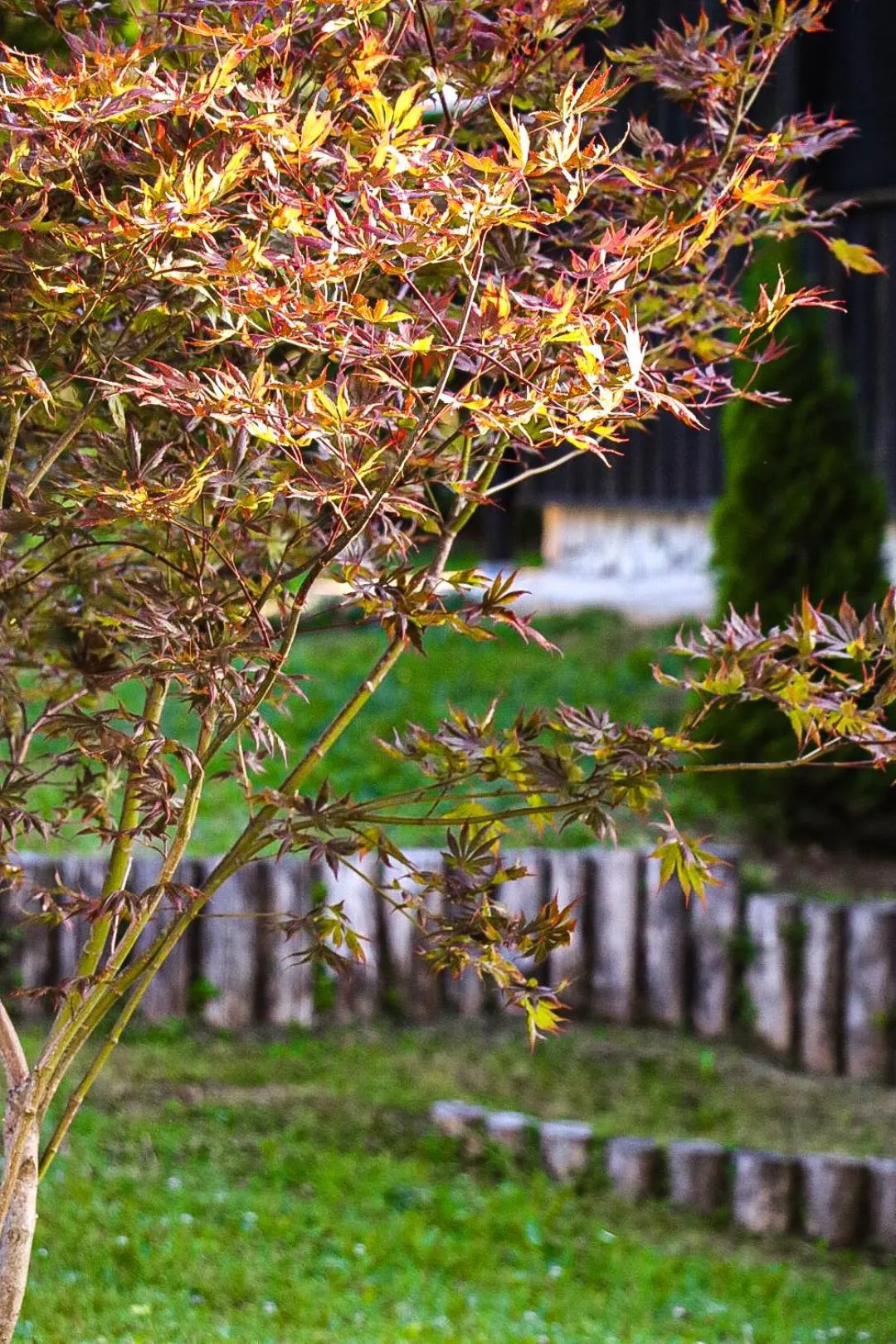 Garden in Plitvice Luxury Etno Garden