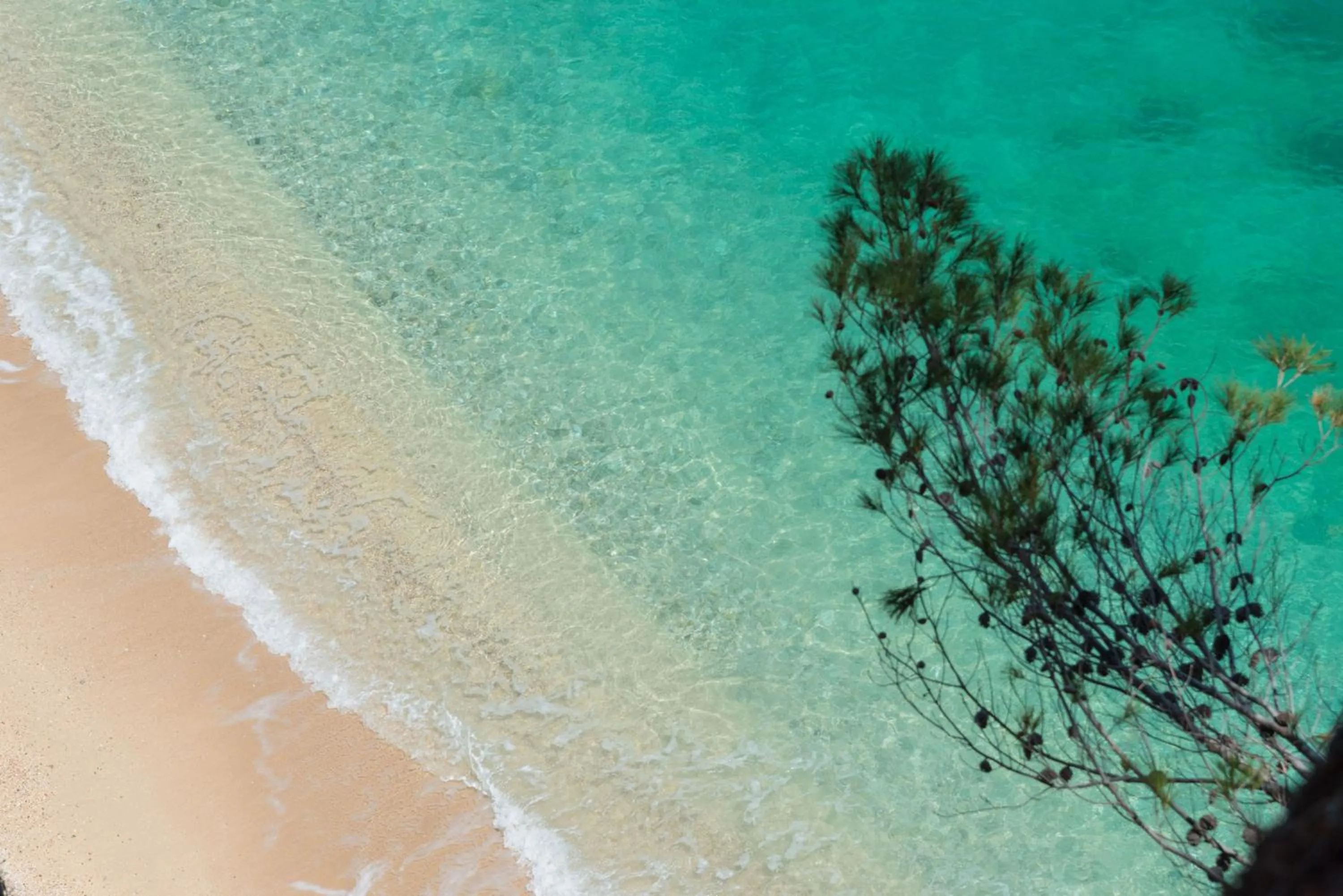 Beach in Baia Delle Zagare - Handwritten Collection
