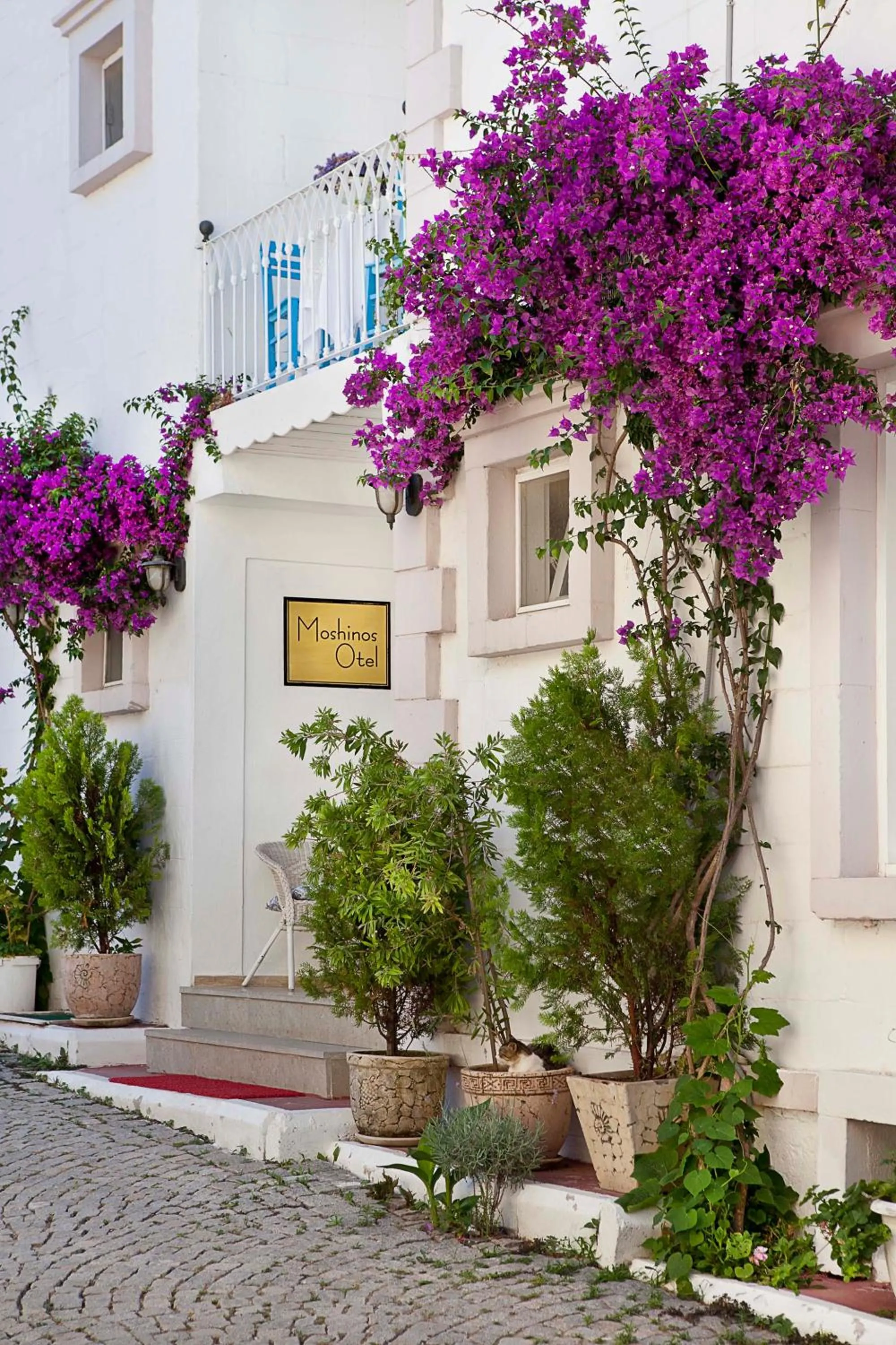 Facade/entrance in Moshinos Hotel