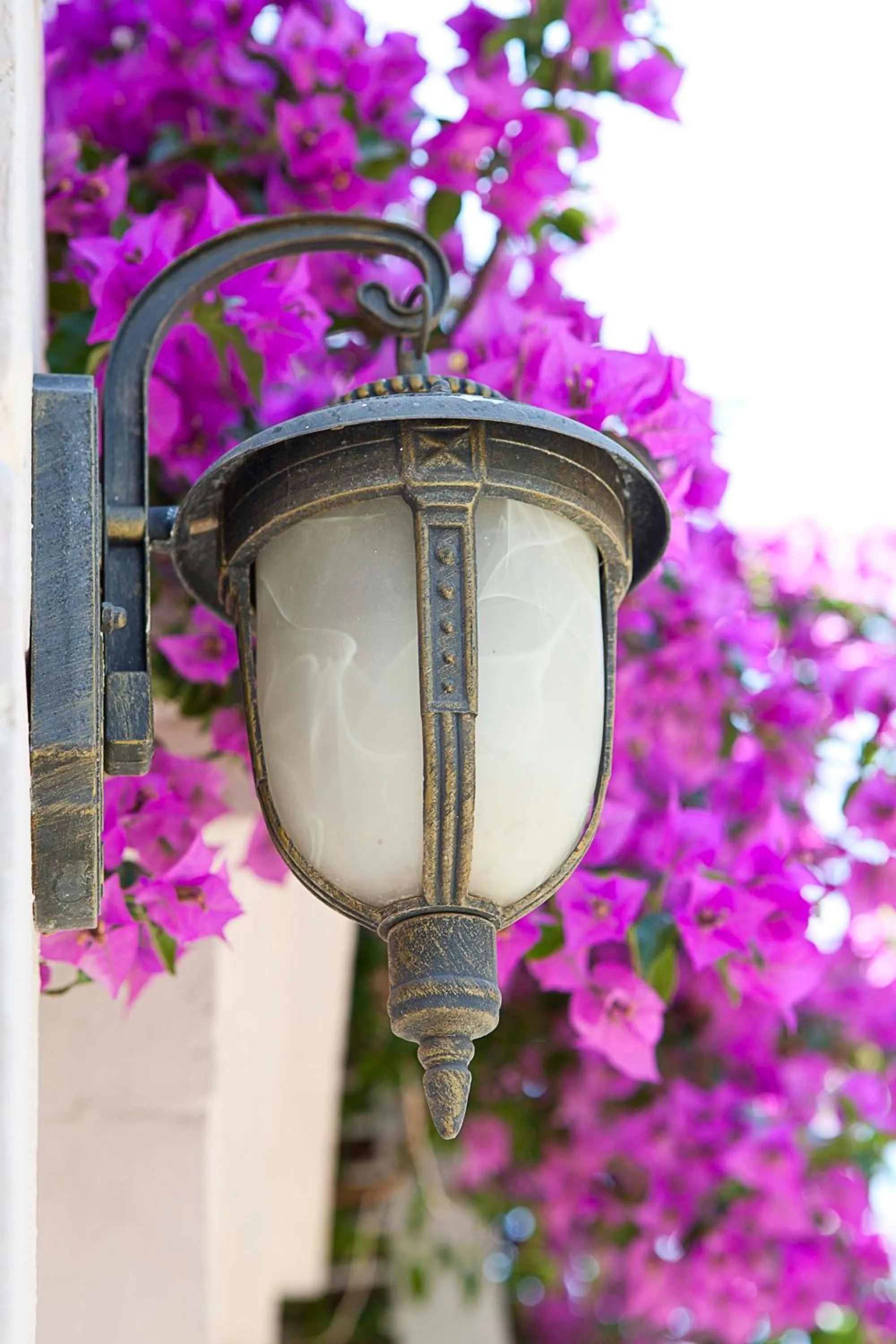 Decorative detail in Moshinos Hotel