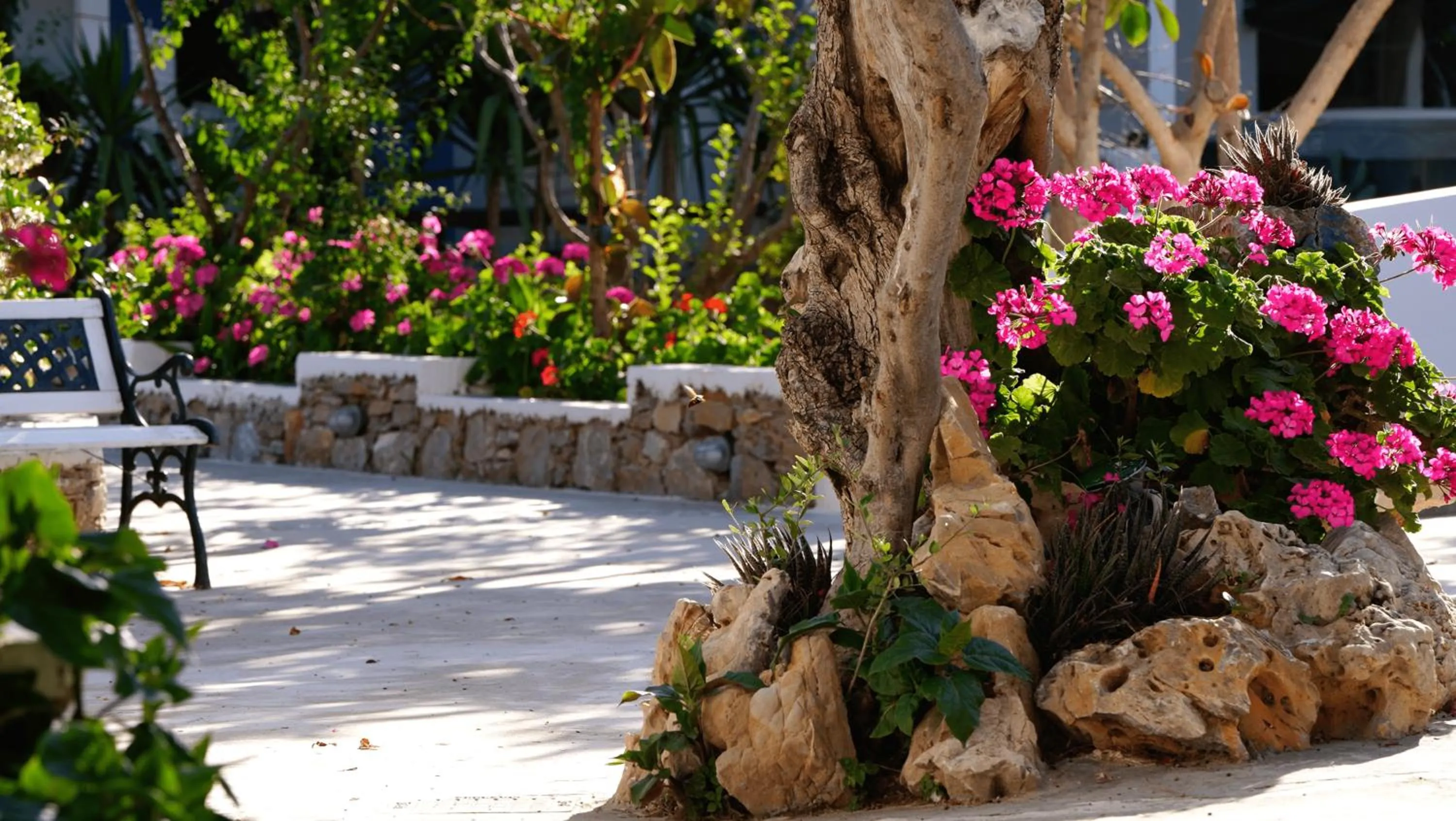 Garden in Lakki Village