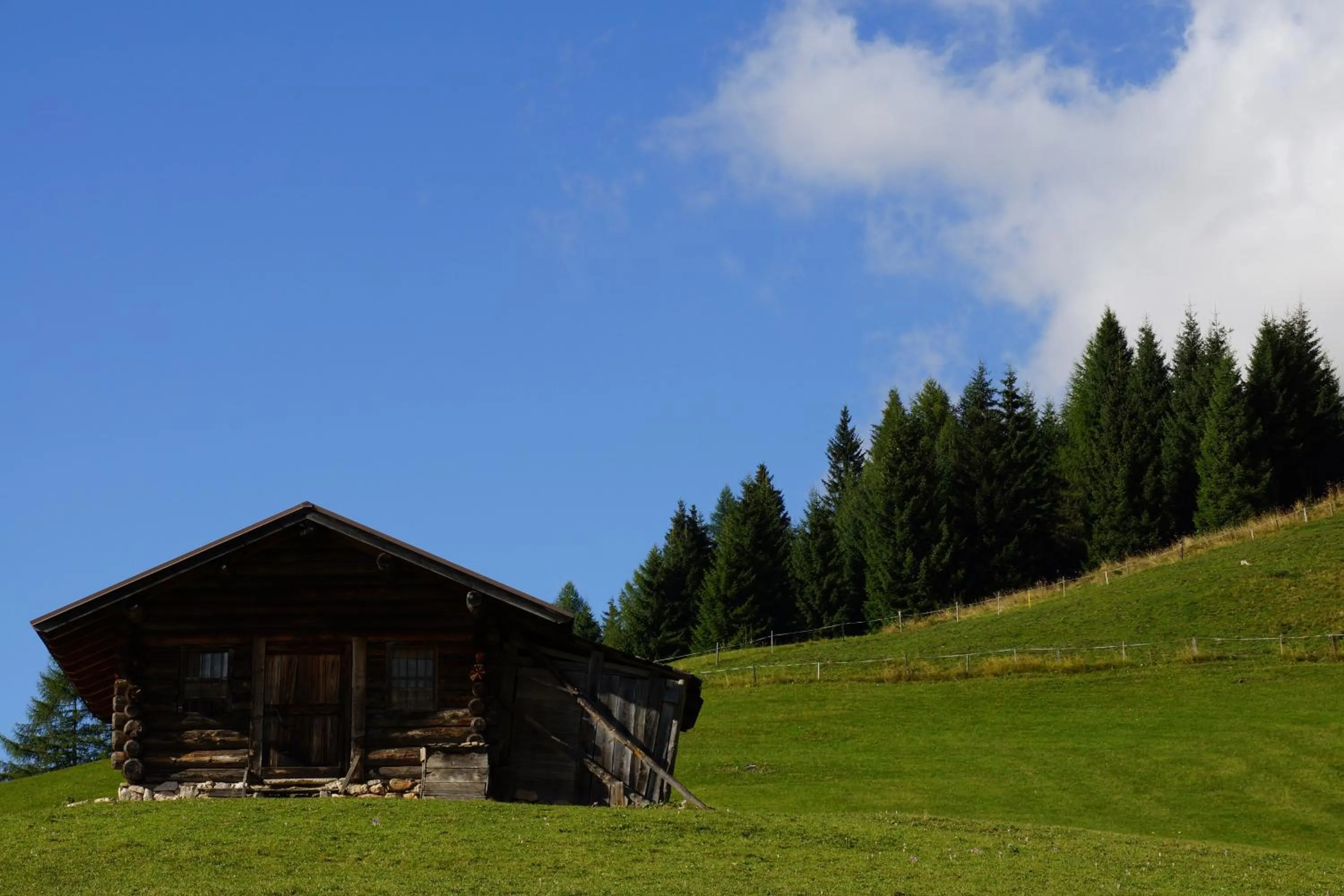 Natural landscape in Hotel Colbricon Beauty & Relax