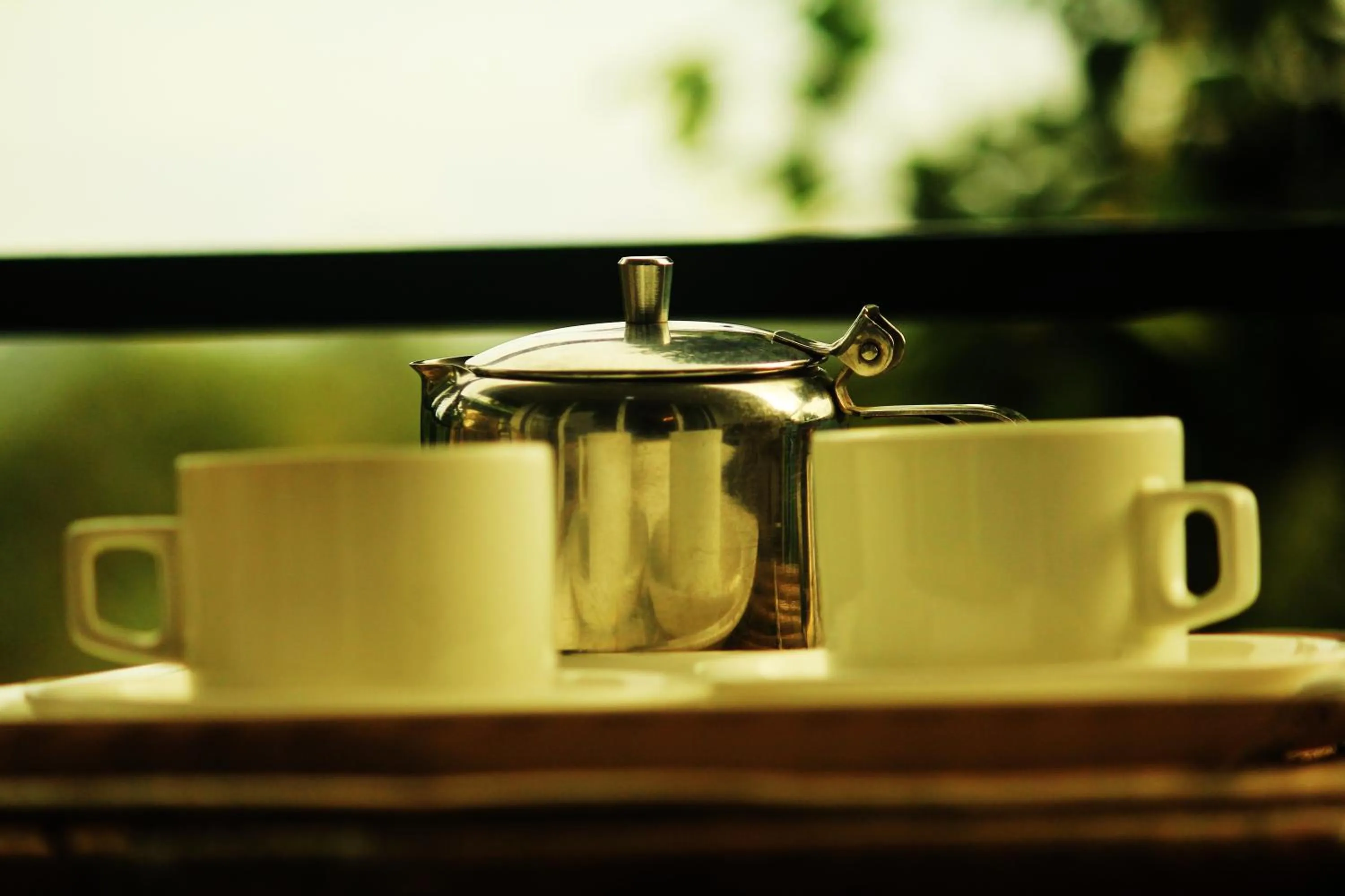 Bellavista Resort Munnar