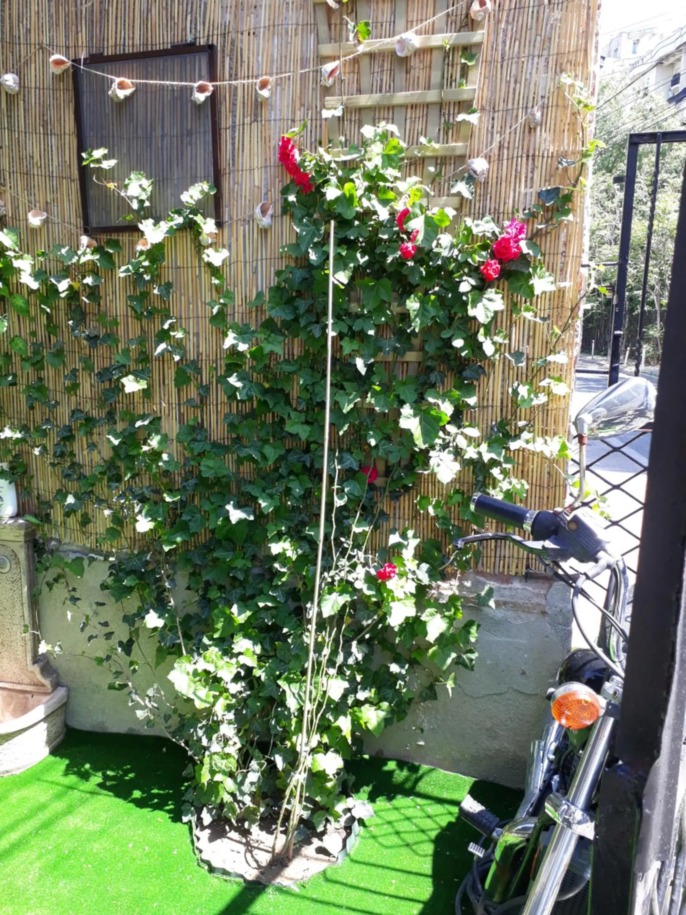 Patio in Motor House Unirii