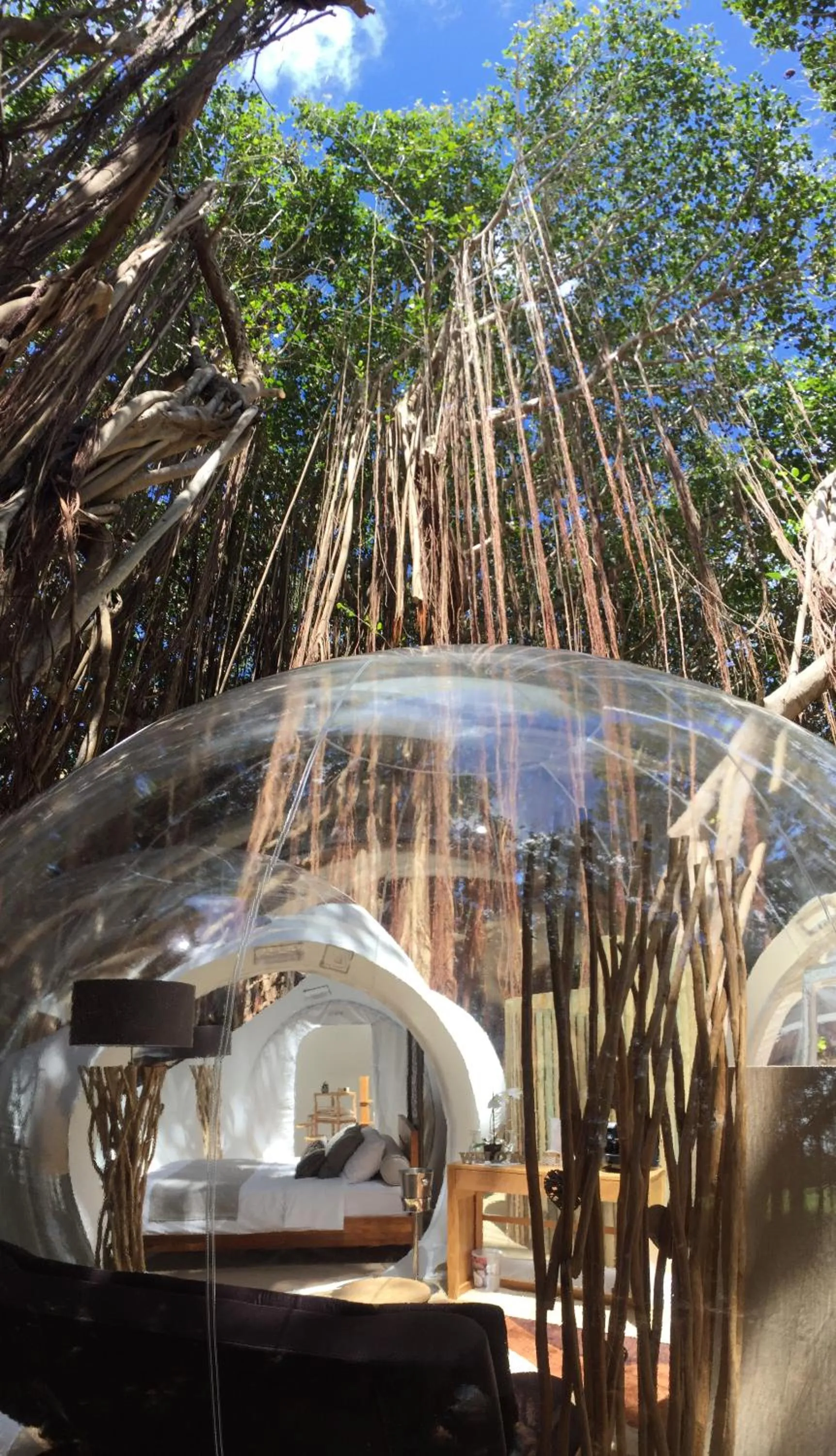 Spring in Bubble Lodge Ile aux Cerfs Island