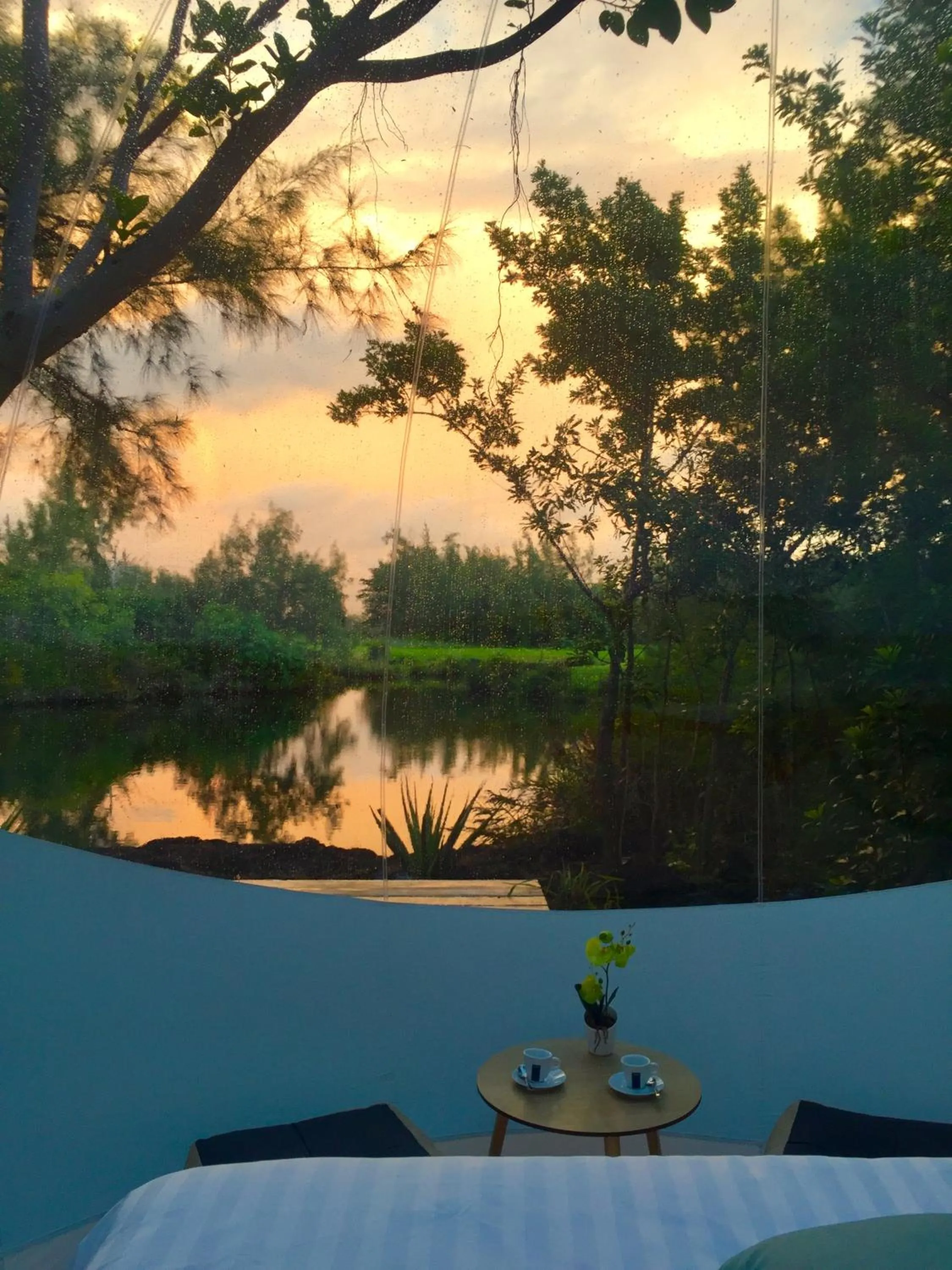 Lake view in Bubble Lodge Ile aux Cerfs Island