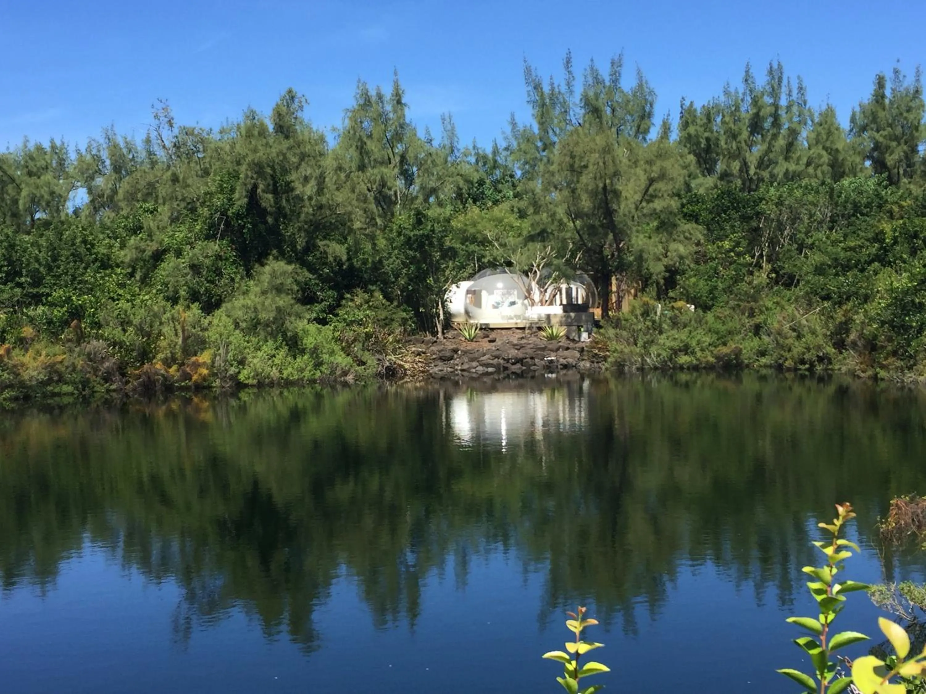Photo of the whole room in Bubble Lodge Ile aux Cerfs Island