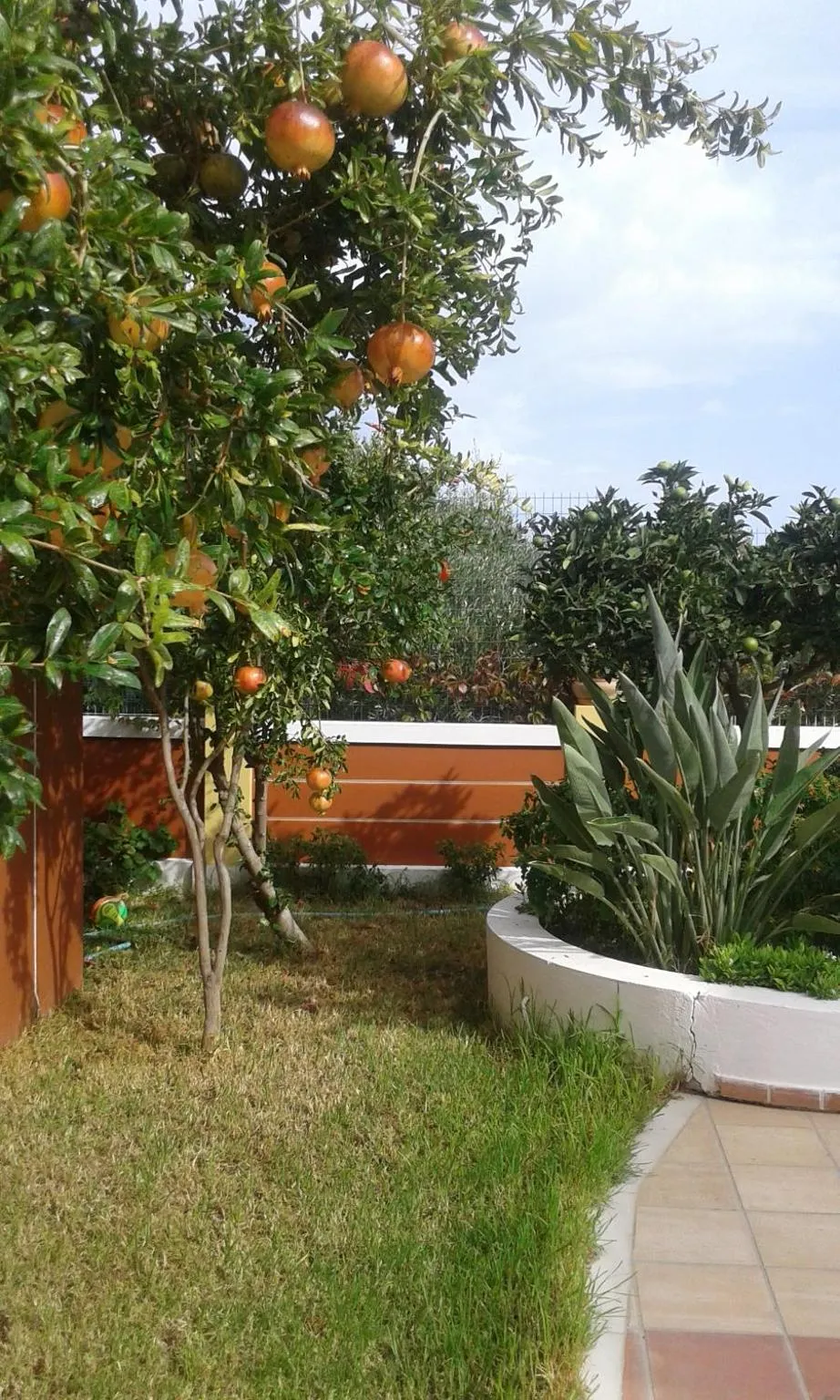 Spring in Astra Village & Suites