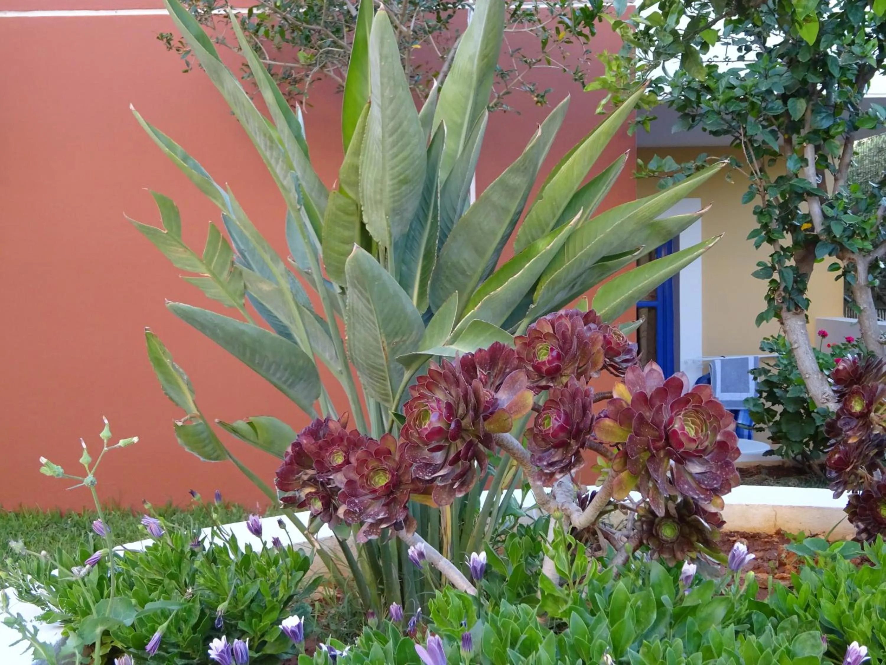 Spring in Astra Village & Suites