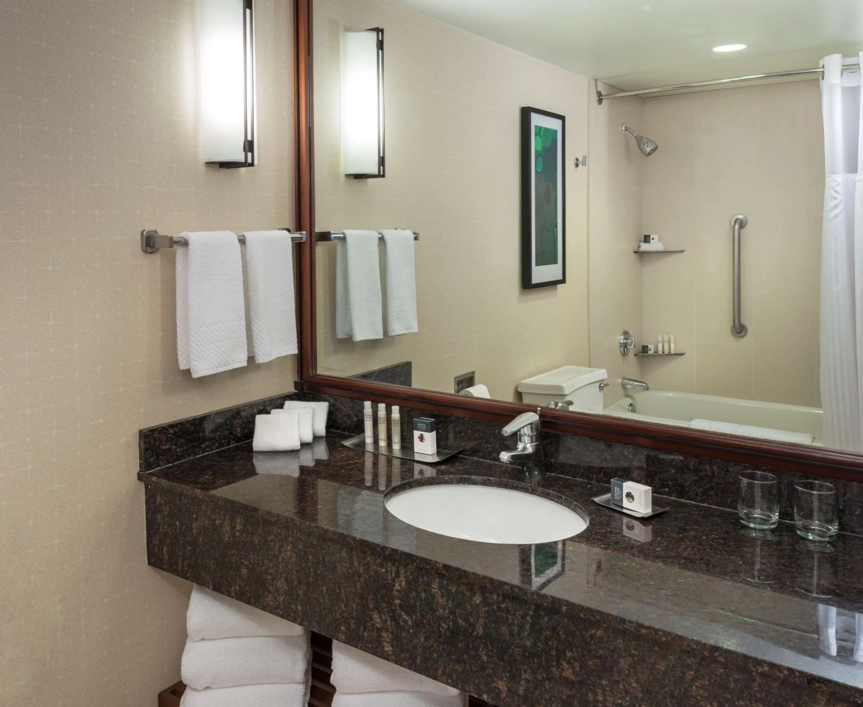 Bathroom in DoubleTree Suites by Hilton Hotel & Conference Center Chicago-Downers Grove