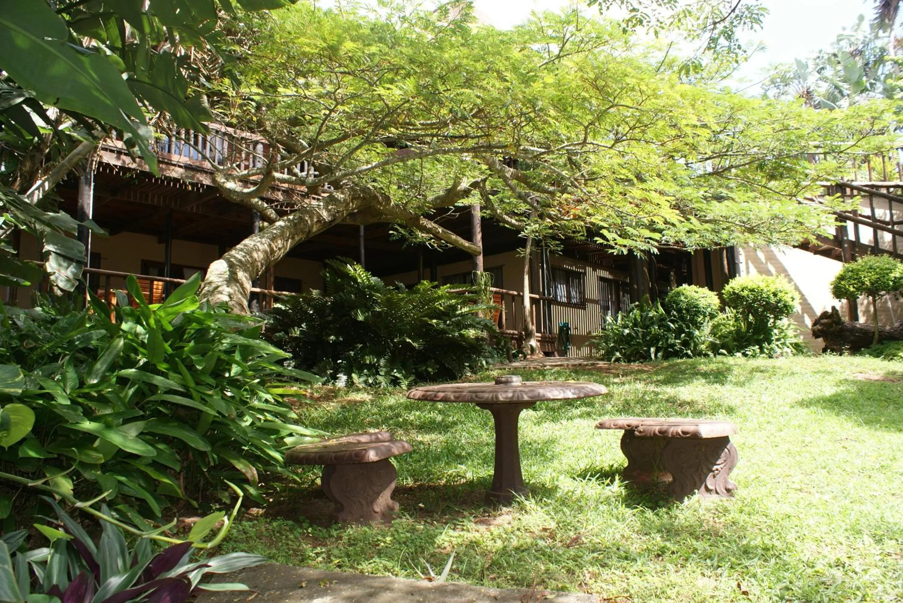 Garden in Ndiza Lodge and Cabanas