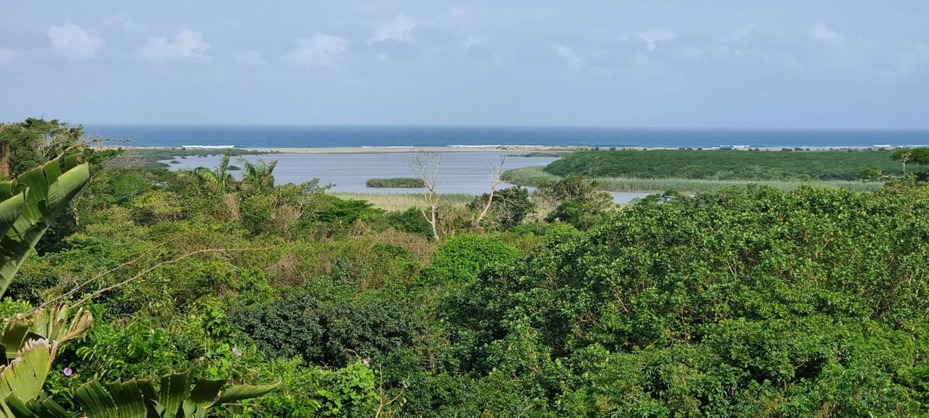 View (from property/room) in Ndiza Lodge and Cabanas