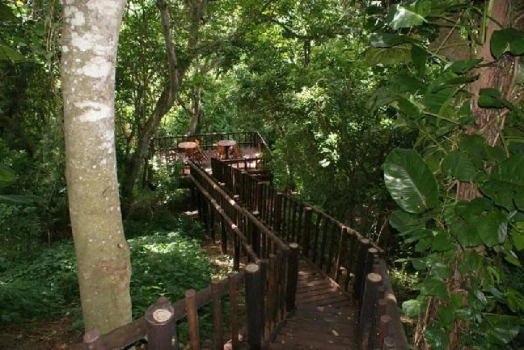 Garden in Ndiza Lodge and Cabanas