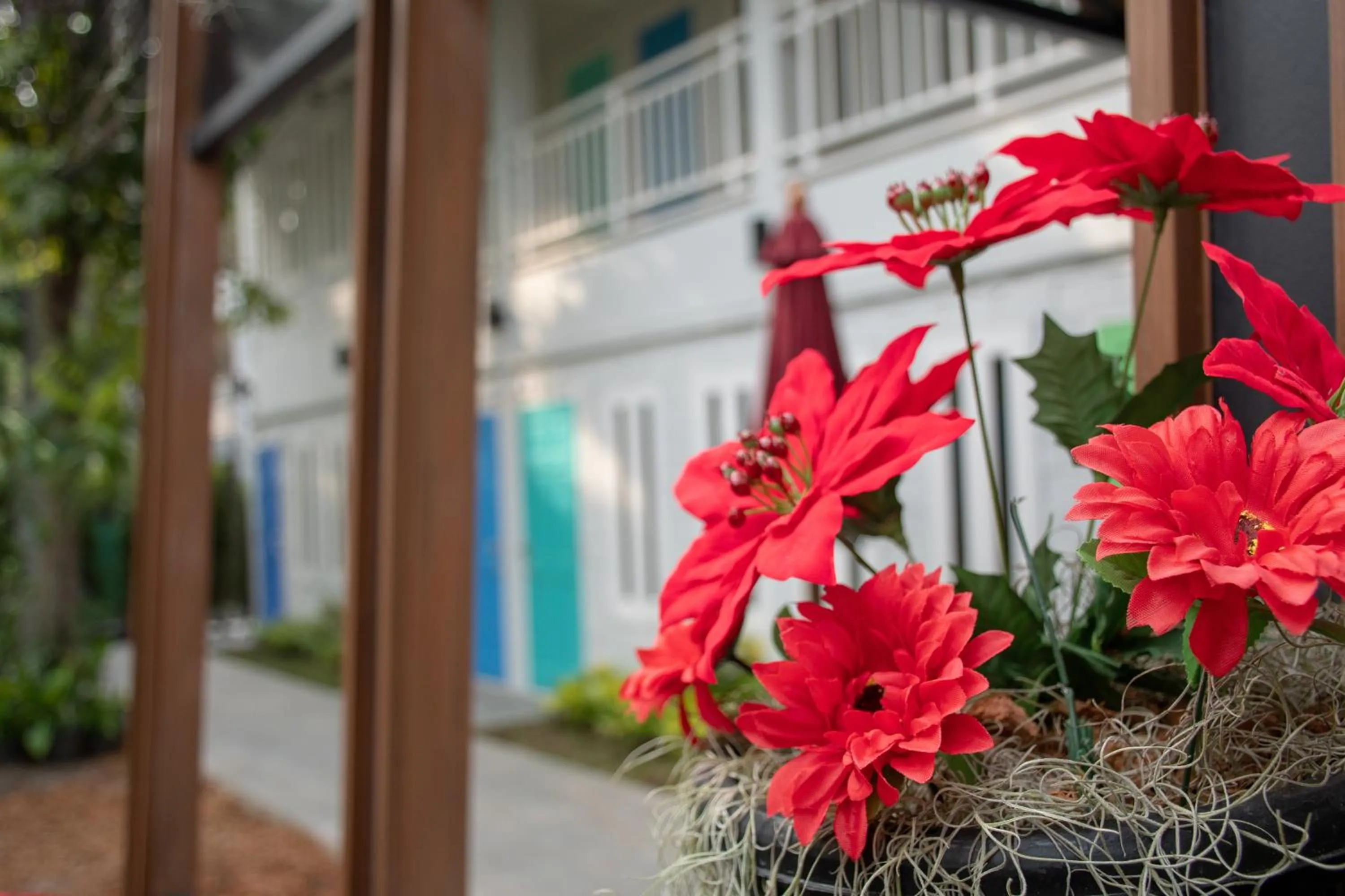 On site in Lazy Sandals