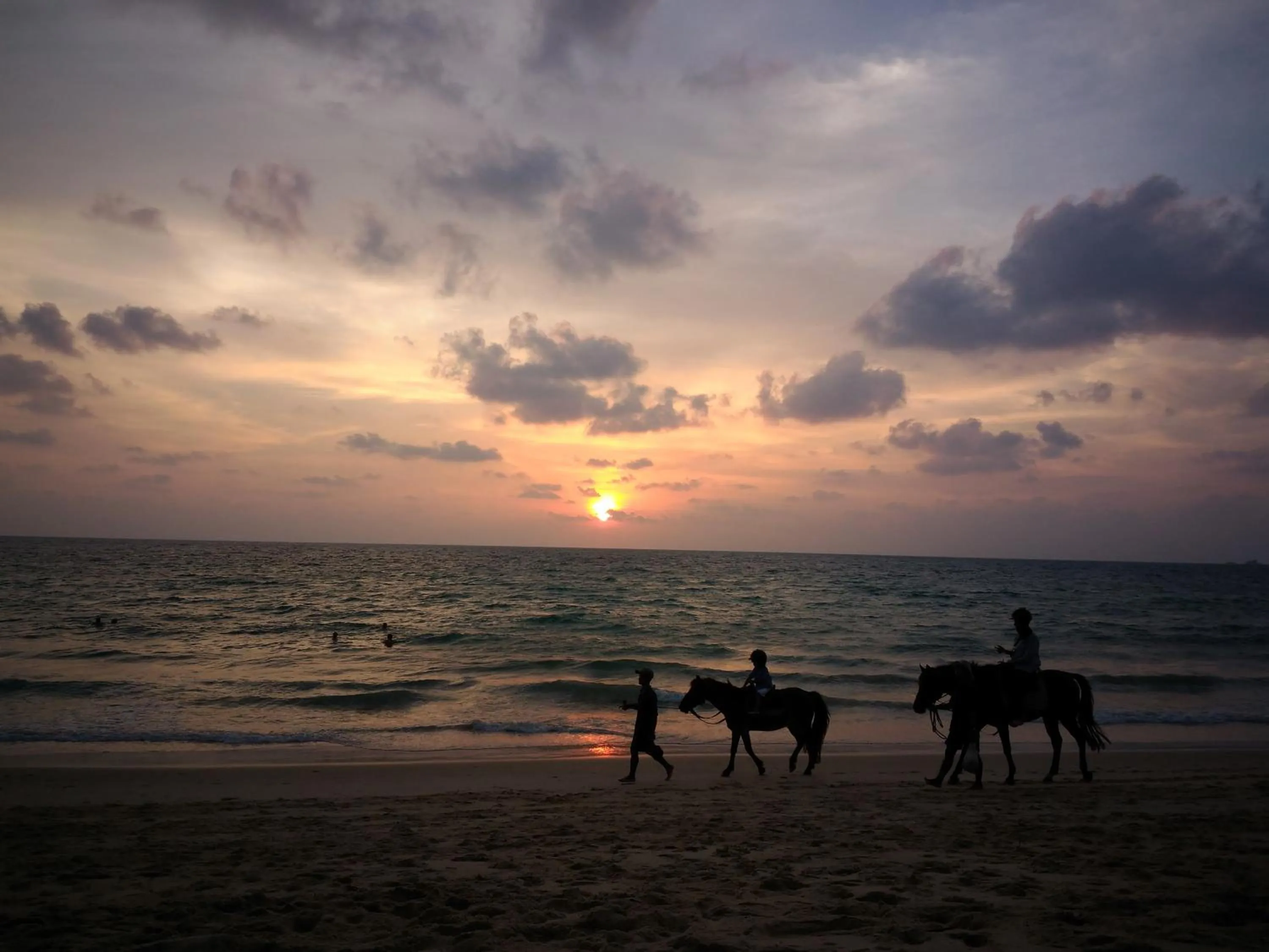 Natural landscape in Bangtao Beach Chalet Resort