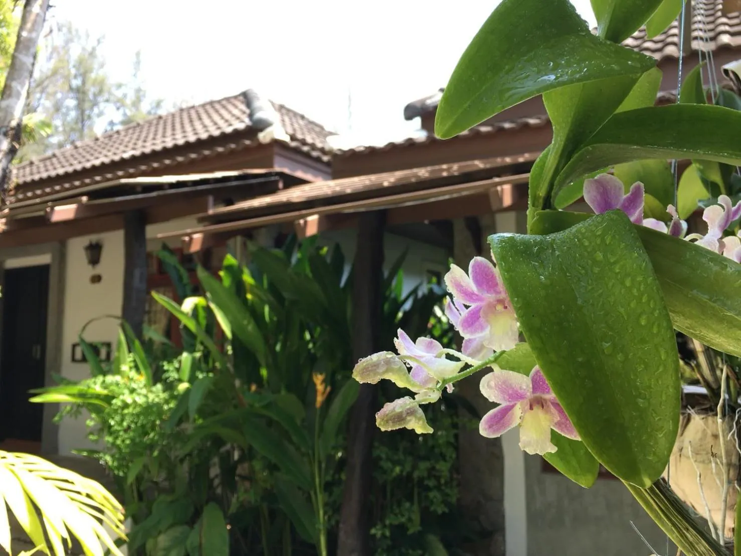 Property building in Bangtao Beach Chalet Resort