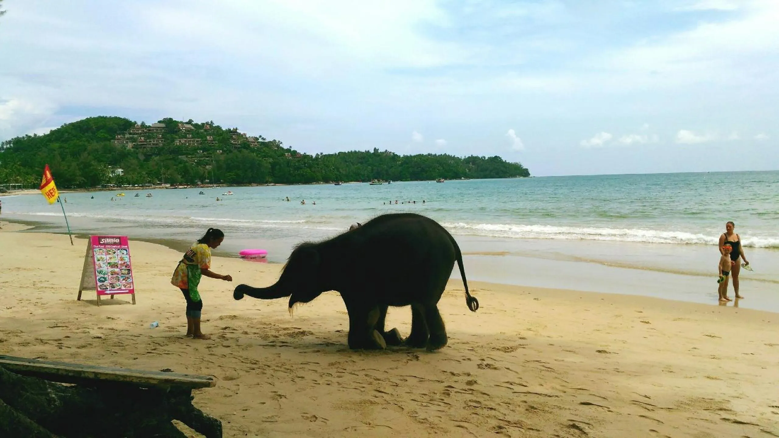 Natural landscape in Bangtao Beach Chalet Resort