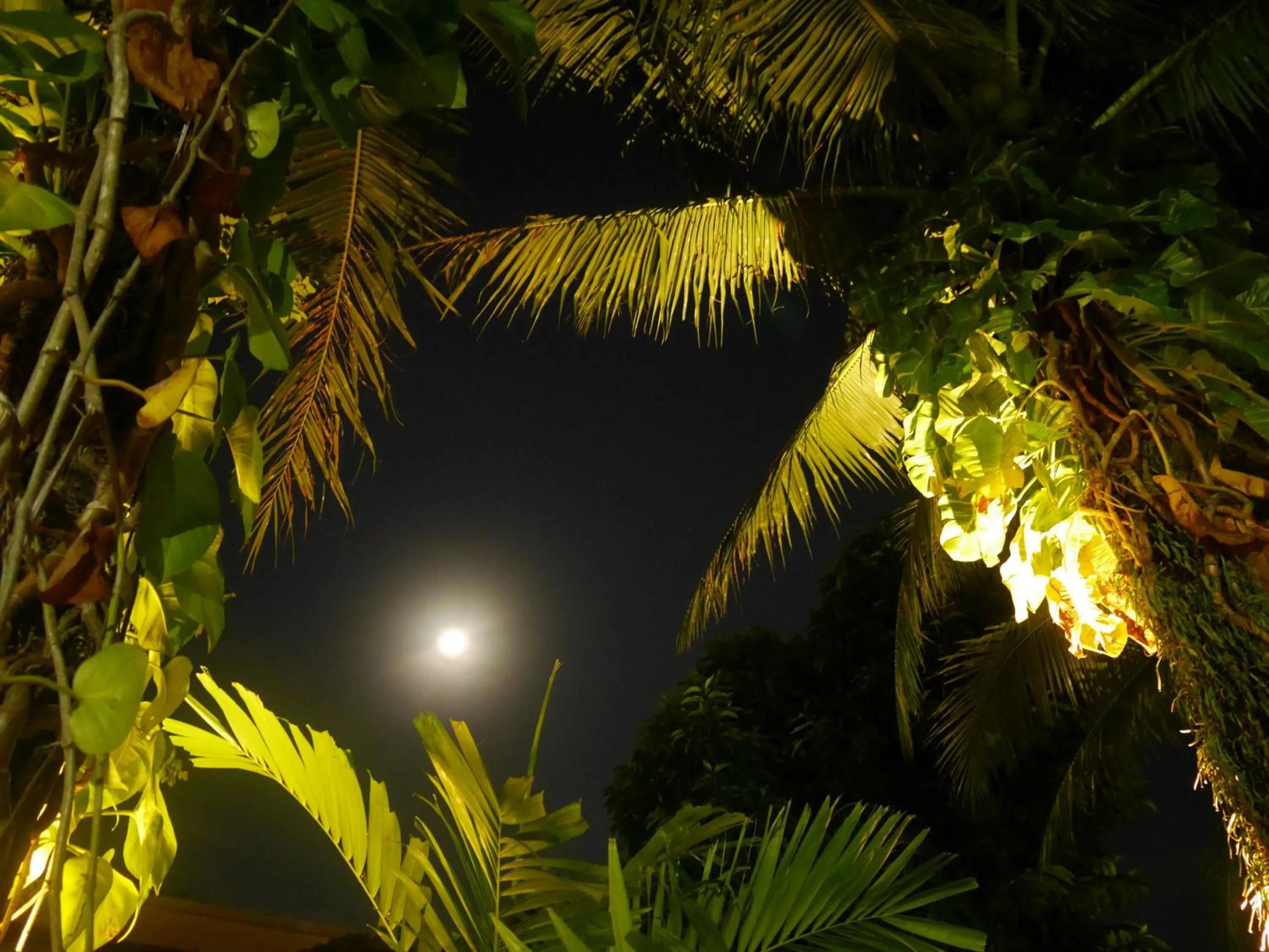 Night in Bangtao Beach Chalet Resort