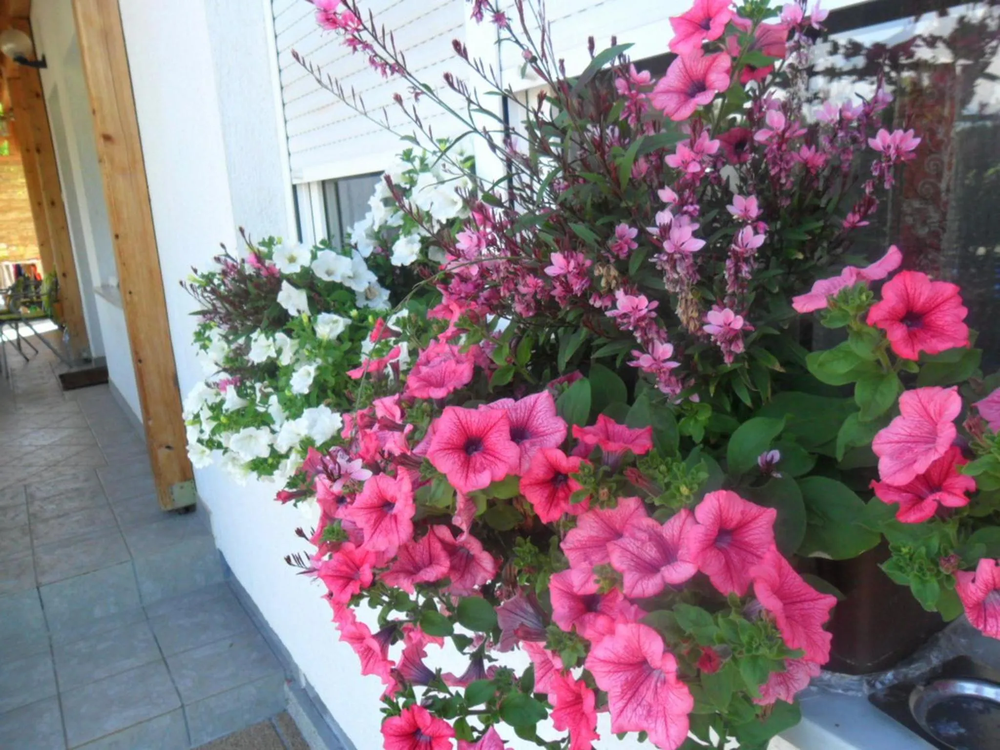 Balcony/Terrace in Guesthouse Sara