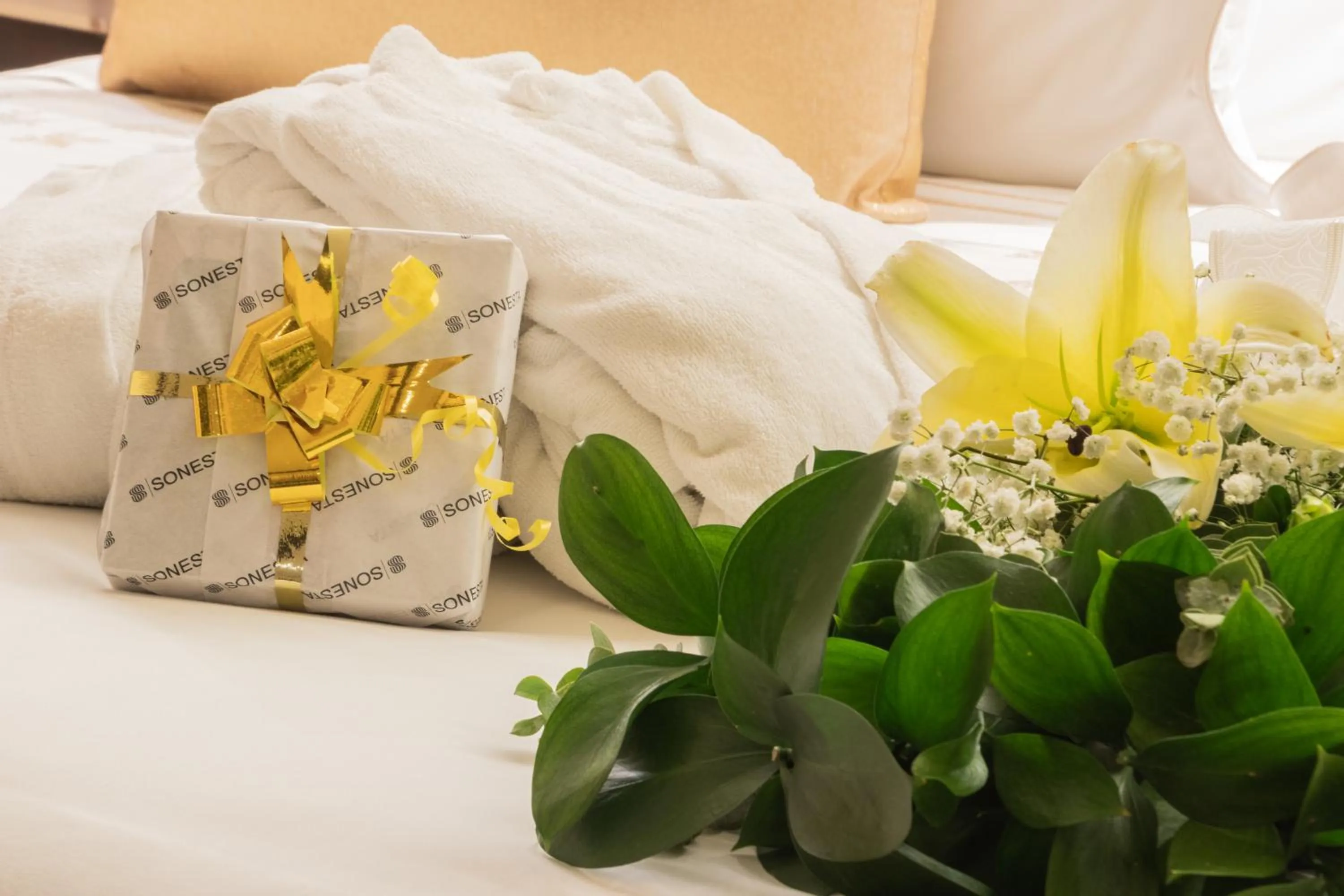 Other, Bed in Sonesta Hotel Cali