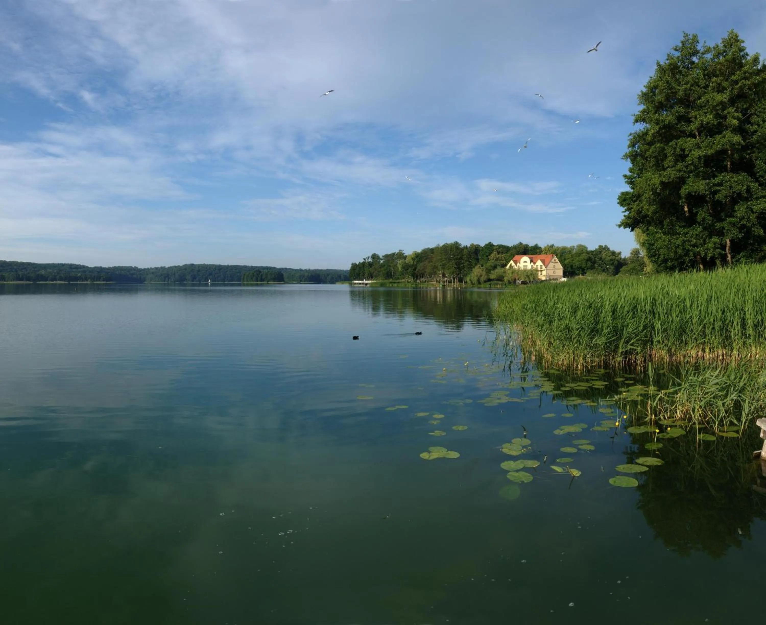 Lake view in Hotel Barlinek