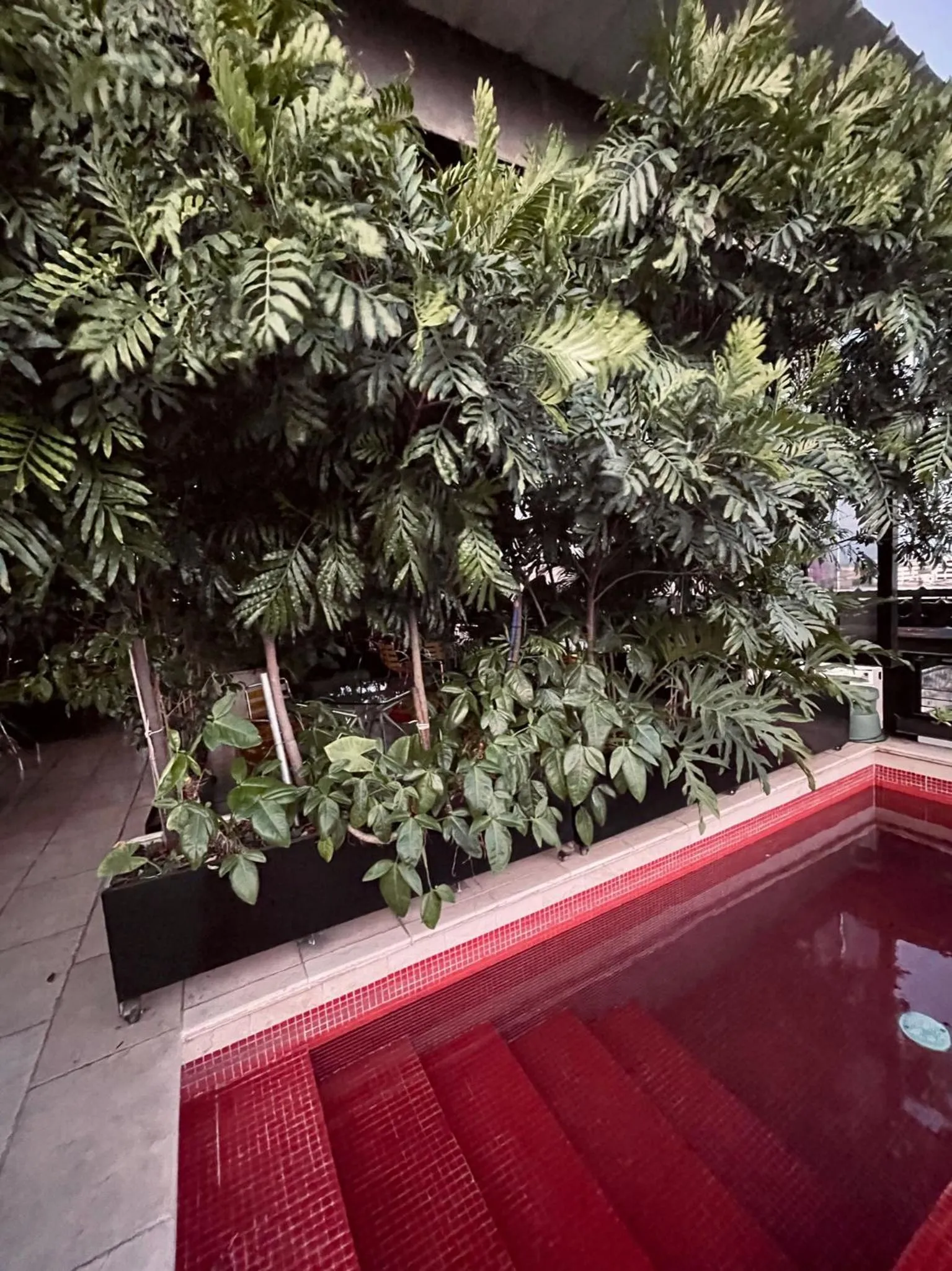 Pool view in Now Hotel Cali